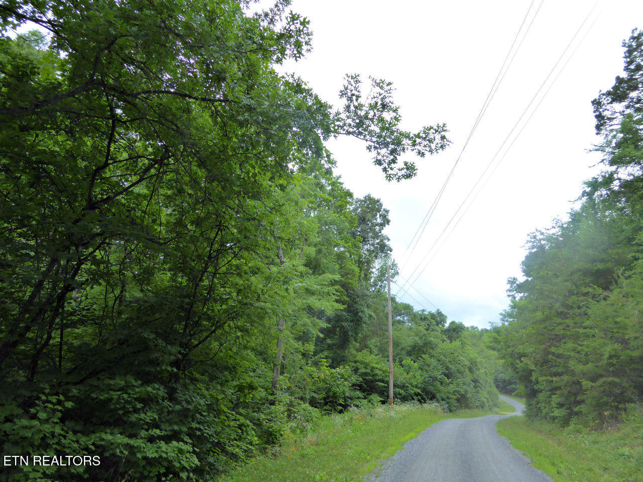 550-551 Spring Lane Baneberry TN 37890