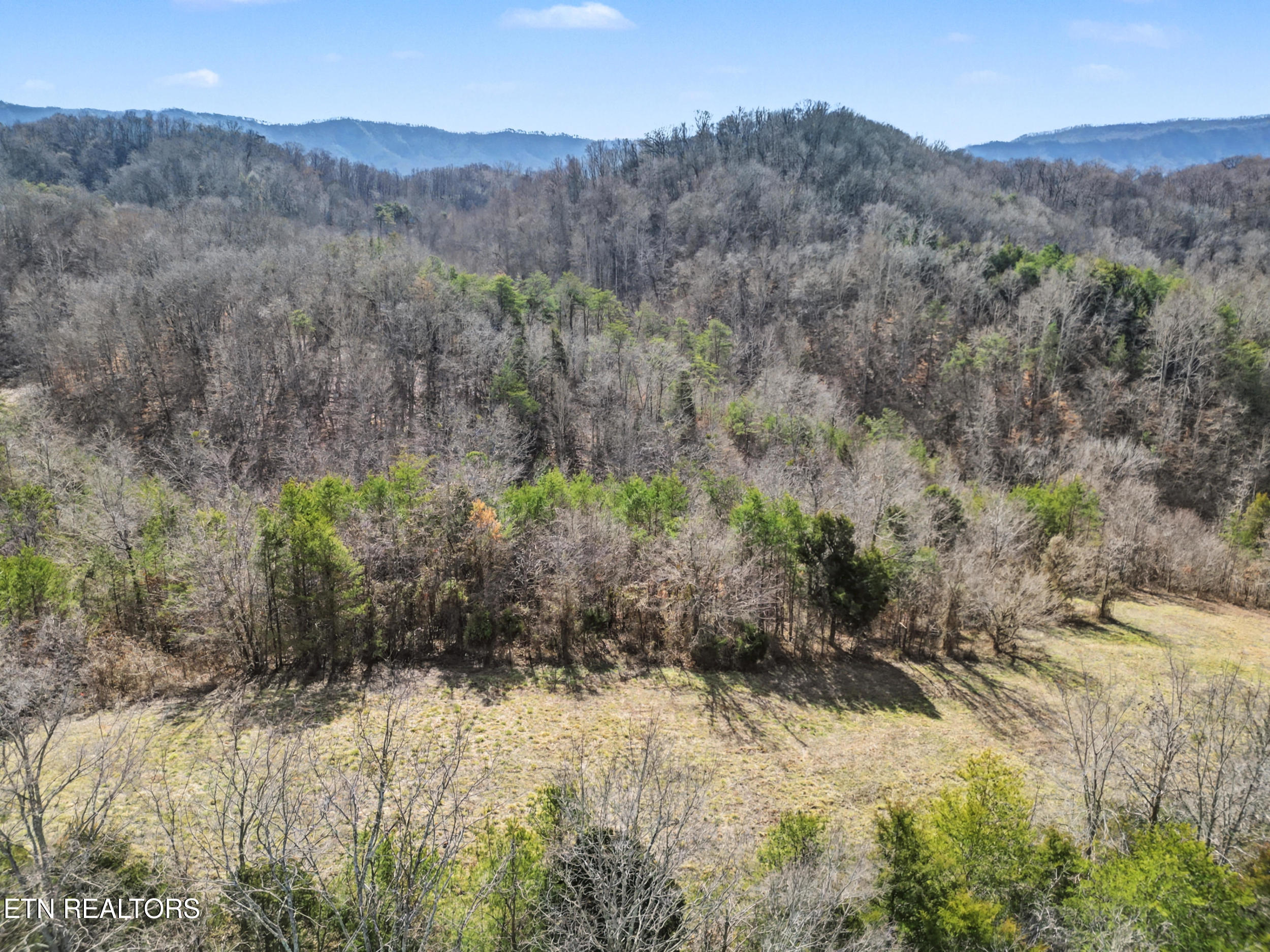 Stanton Road Seymour TN 37865