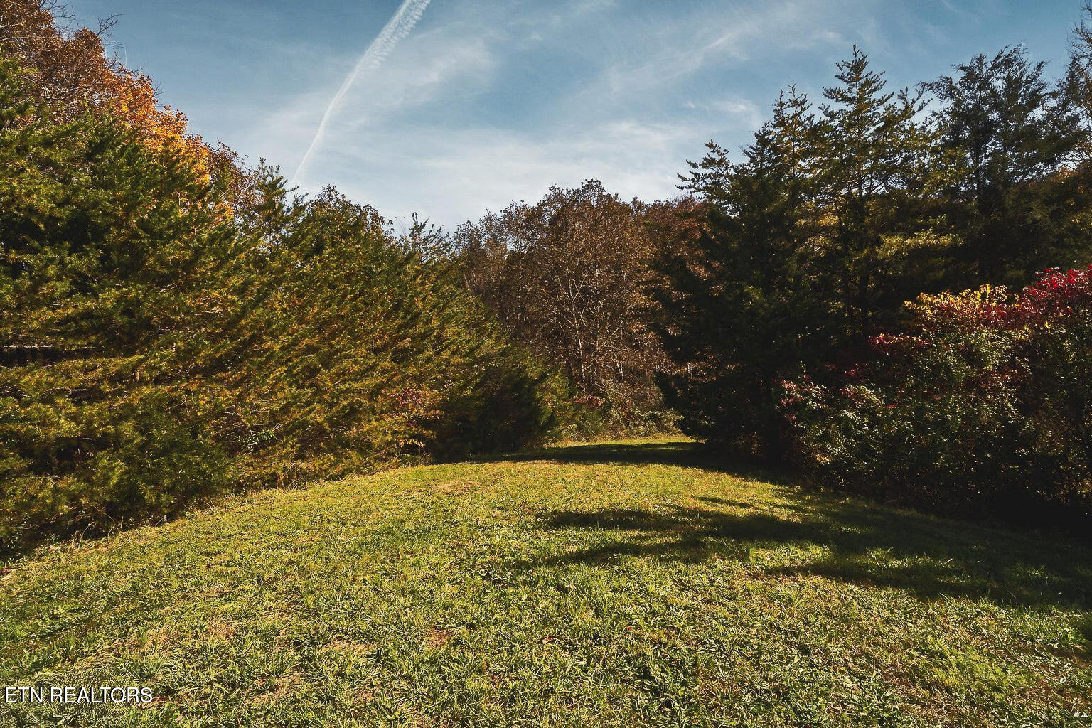 Stanton Road Seymour TN 37865
