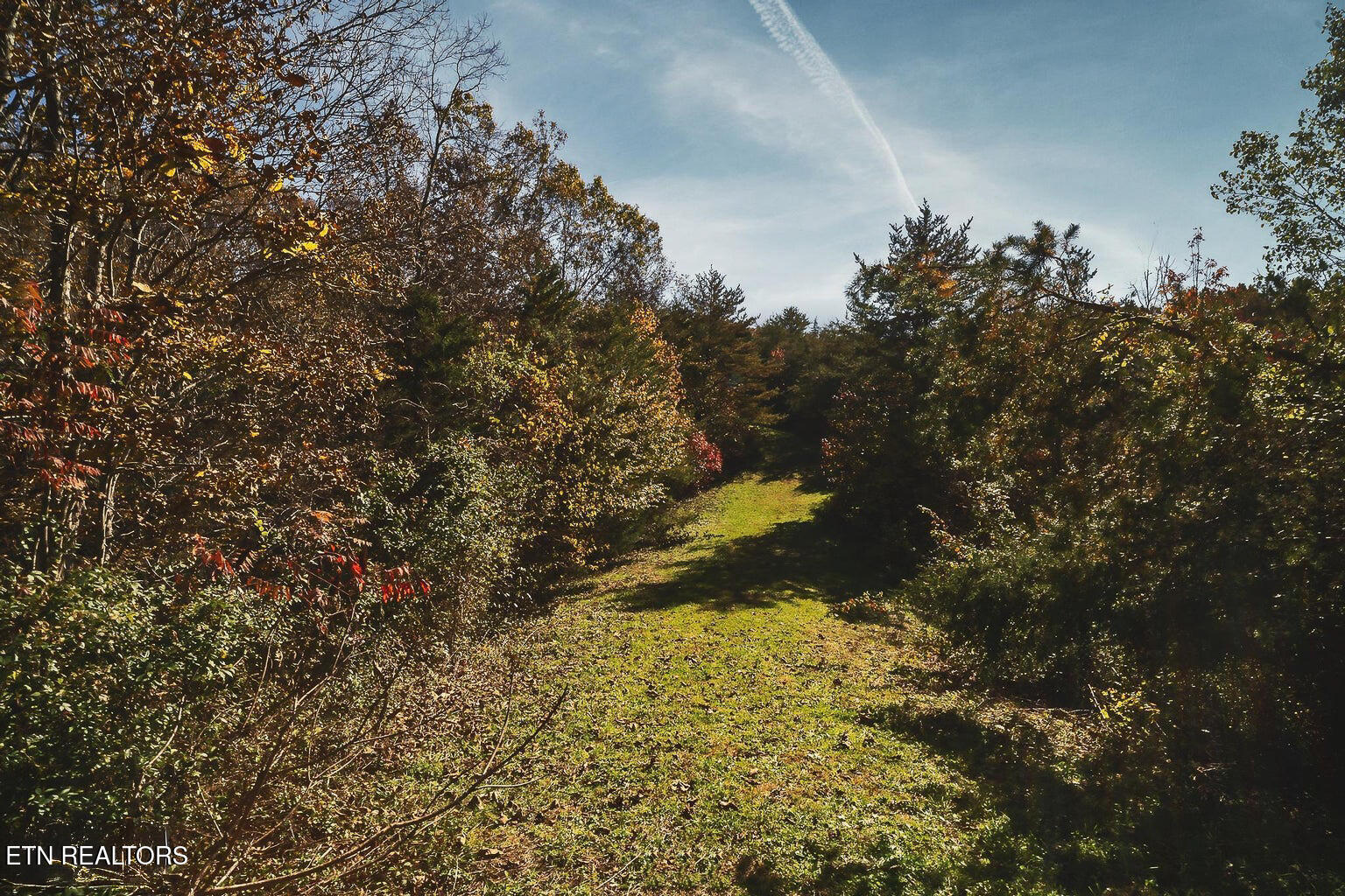 Stanton Road Seymour TN 37865