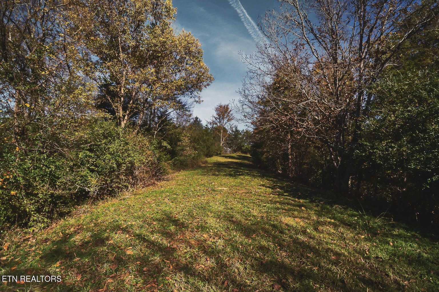 Stanton Road Seymour TN 37865