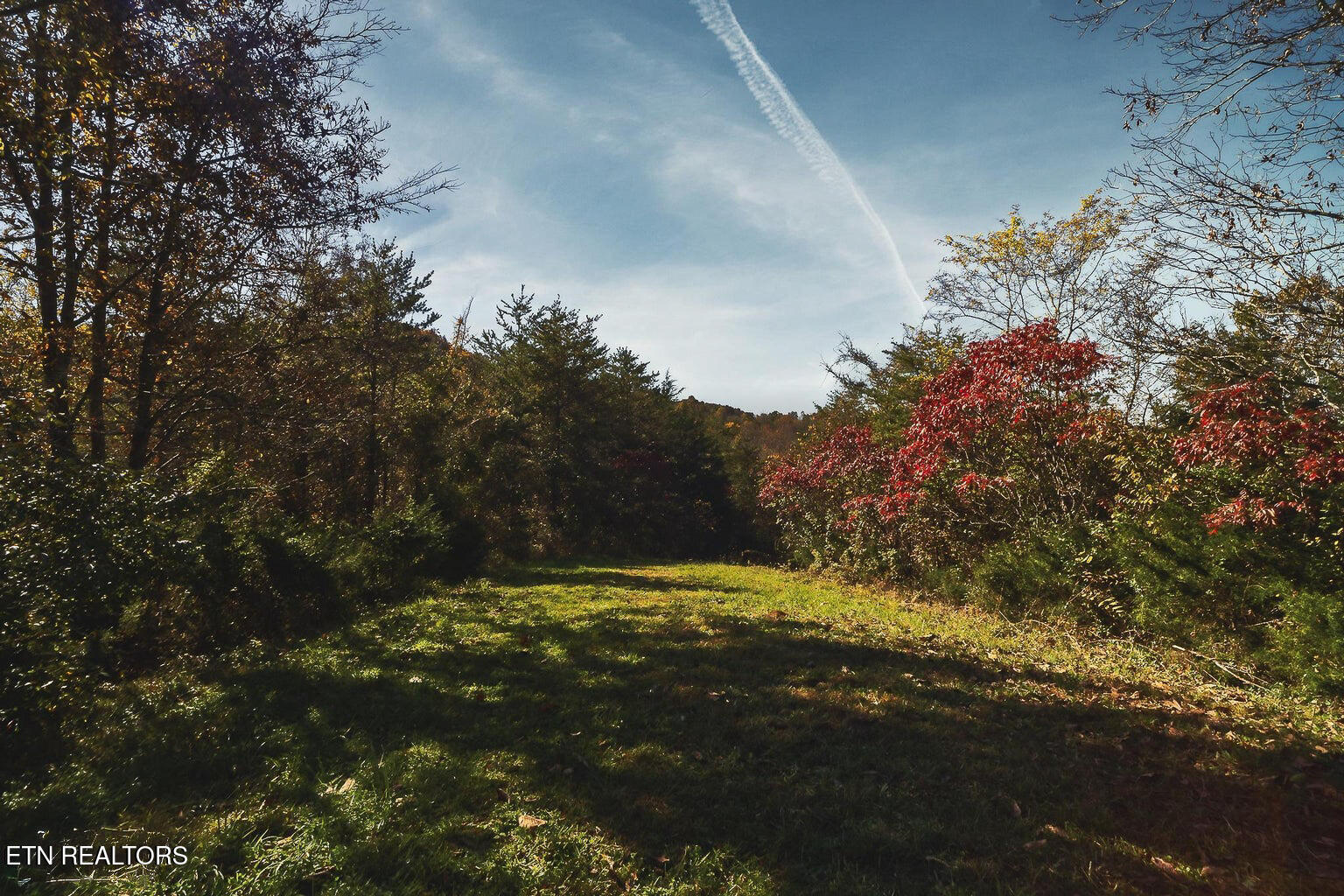 Stanton Road Seymour TN 37865
