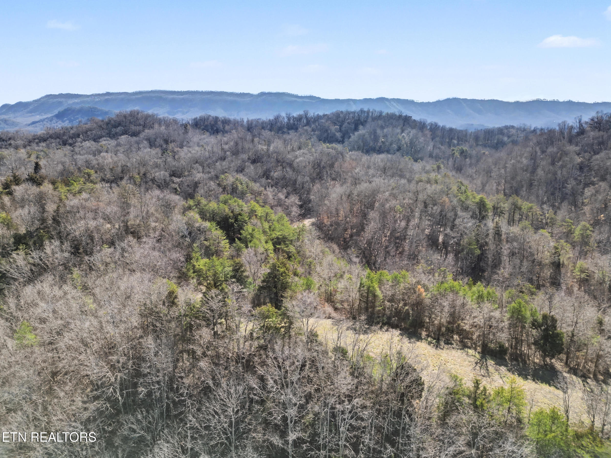 Stanton Road Seymour TN 37865