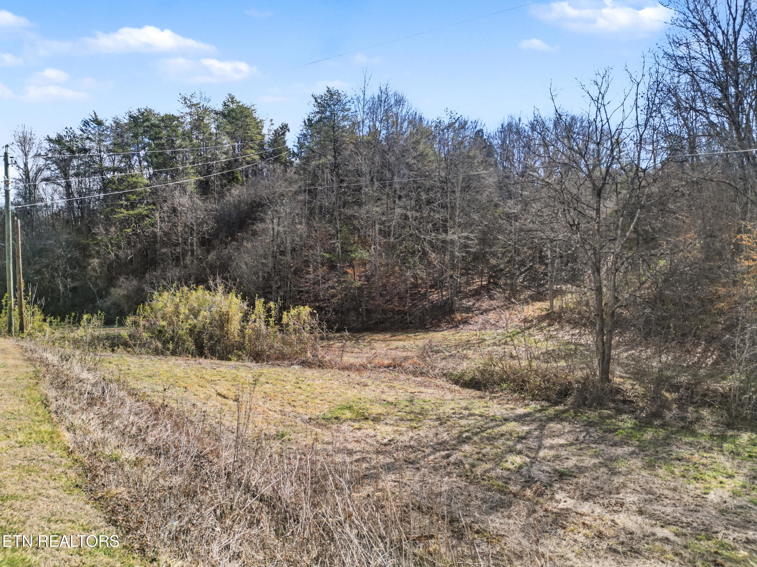 Stanton Road Seymour TN 37865