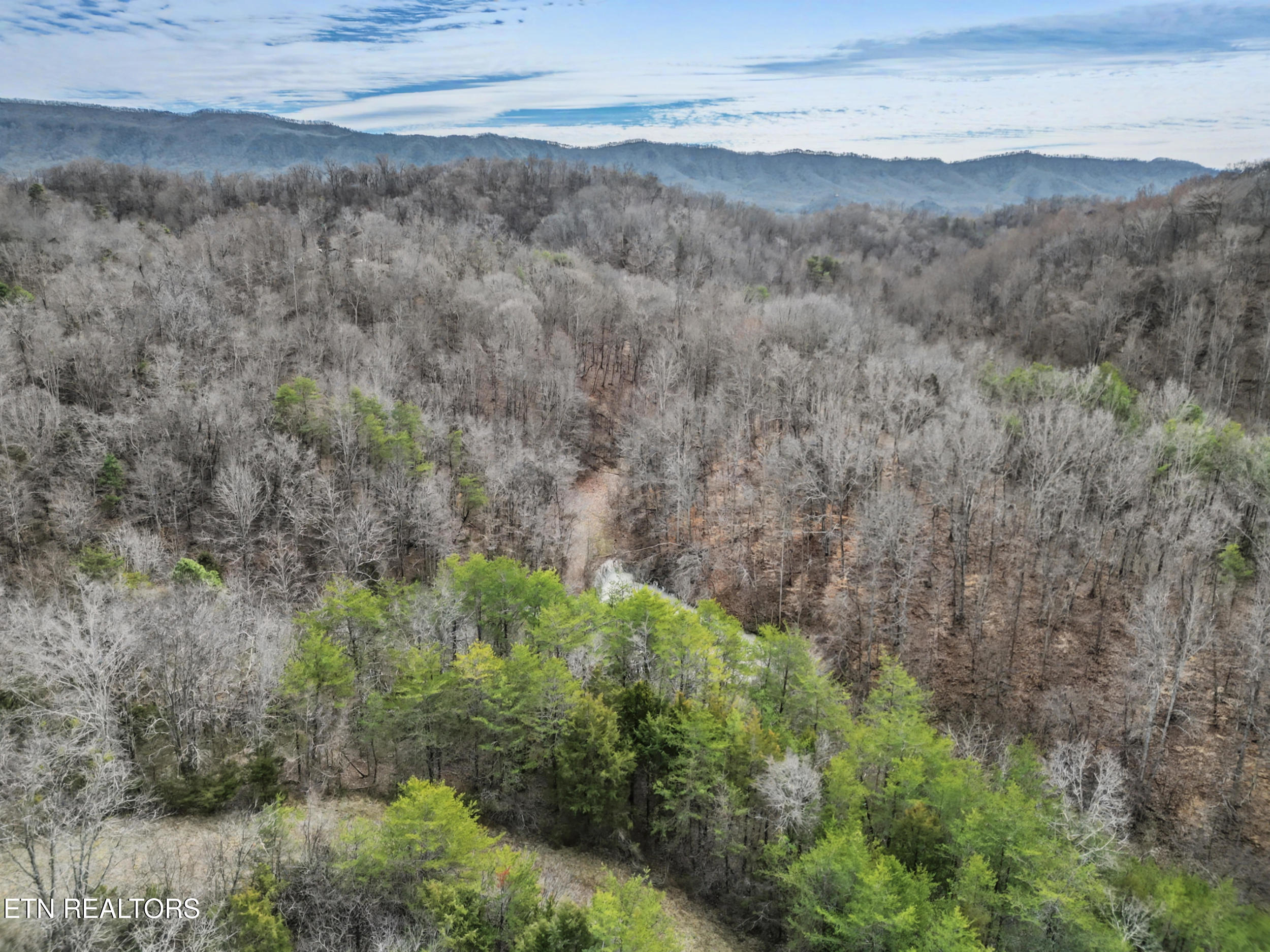 Stanton Road Seymour TN 37865