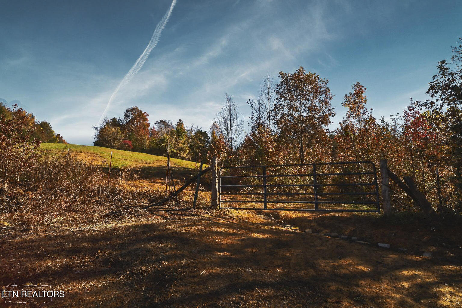 Stanton Road Seymour TN 37865