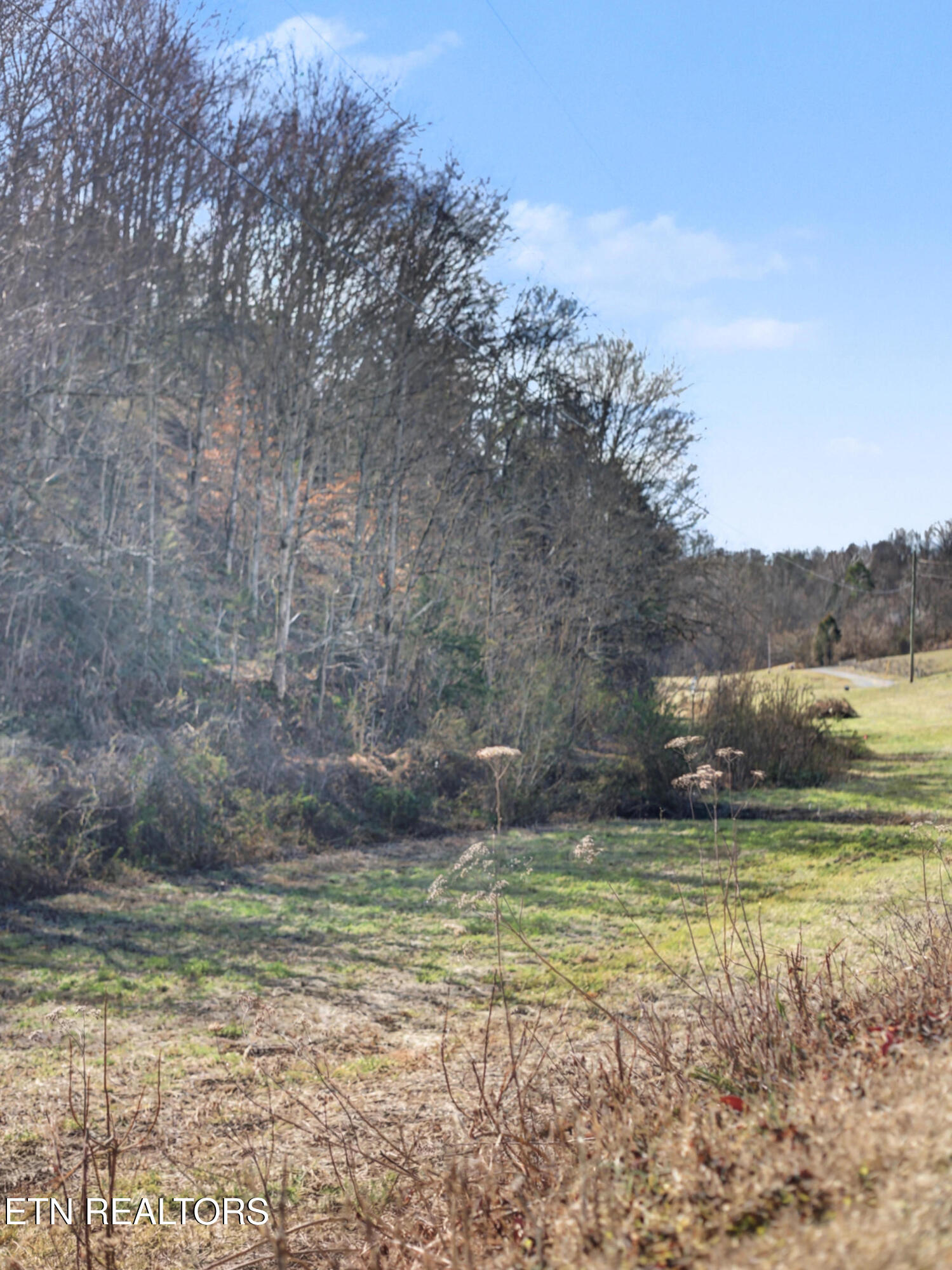 Stanton Road Seymour TN 37865
