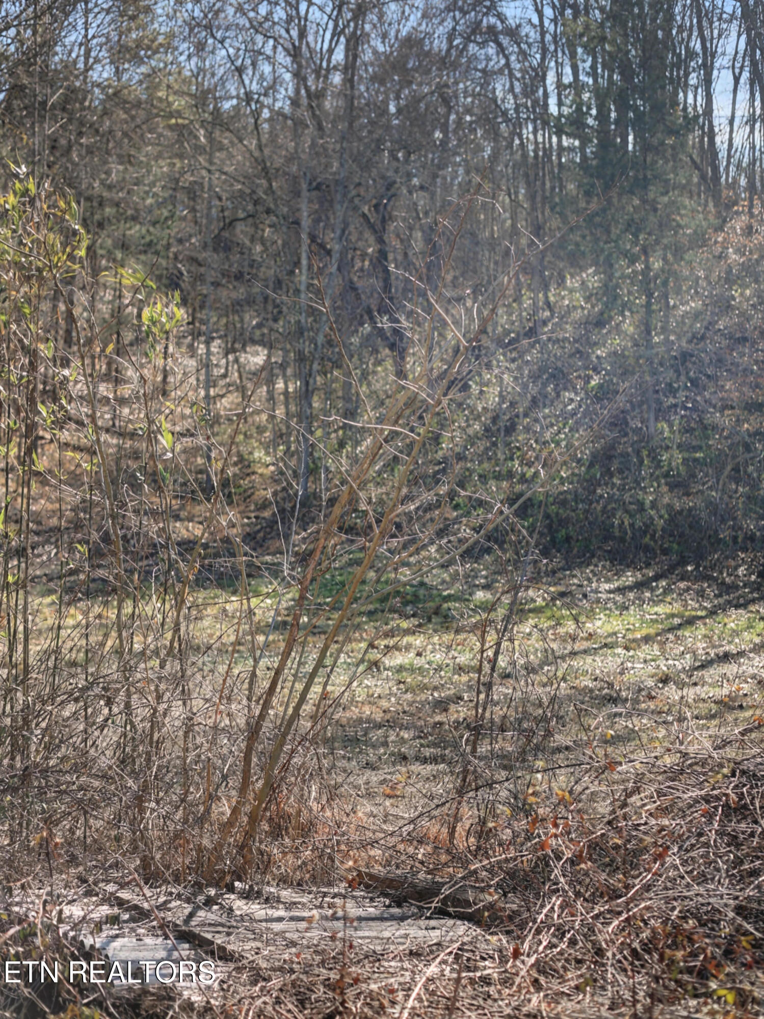 Stanton Road Seymour TN 37865