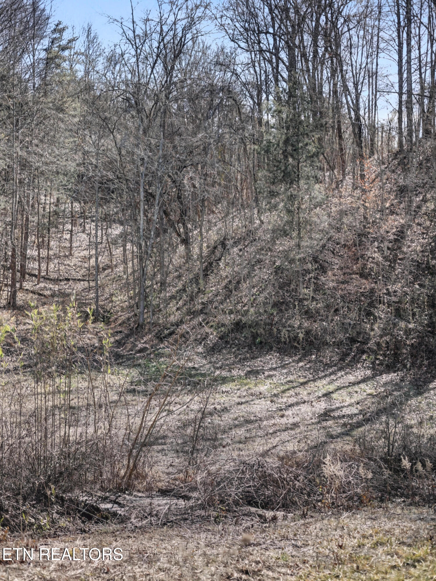 Stanton Road Seymour TN 37865