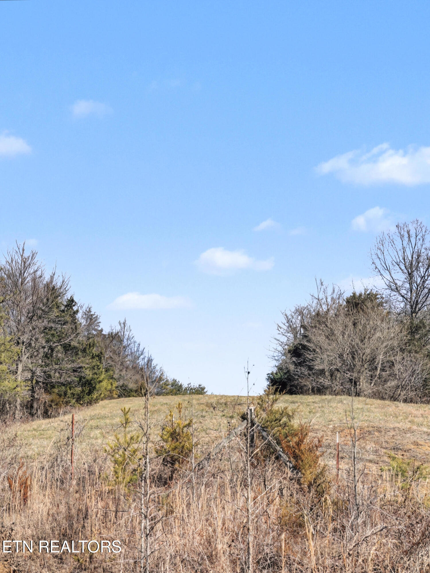 Stanton Road Seymour TN 37865