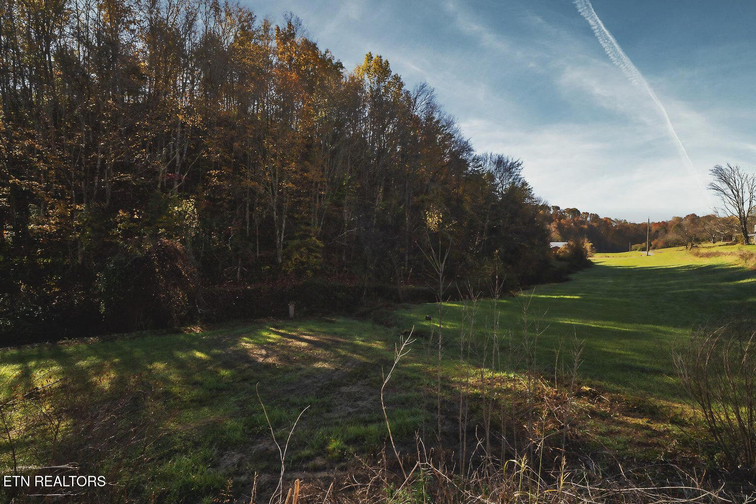 Stanton Road Seymour TN 37865
