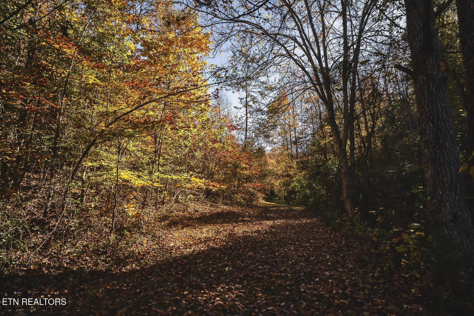 Stanton Road Seymour TN 37865