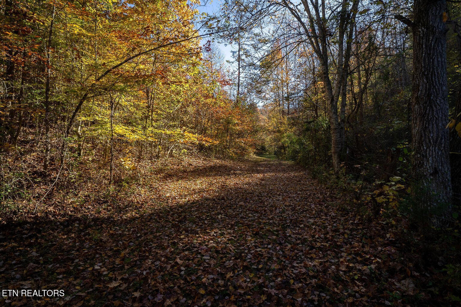 Stanton Road Seymour TN 37865