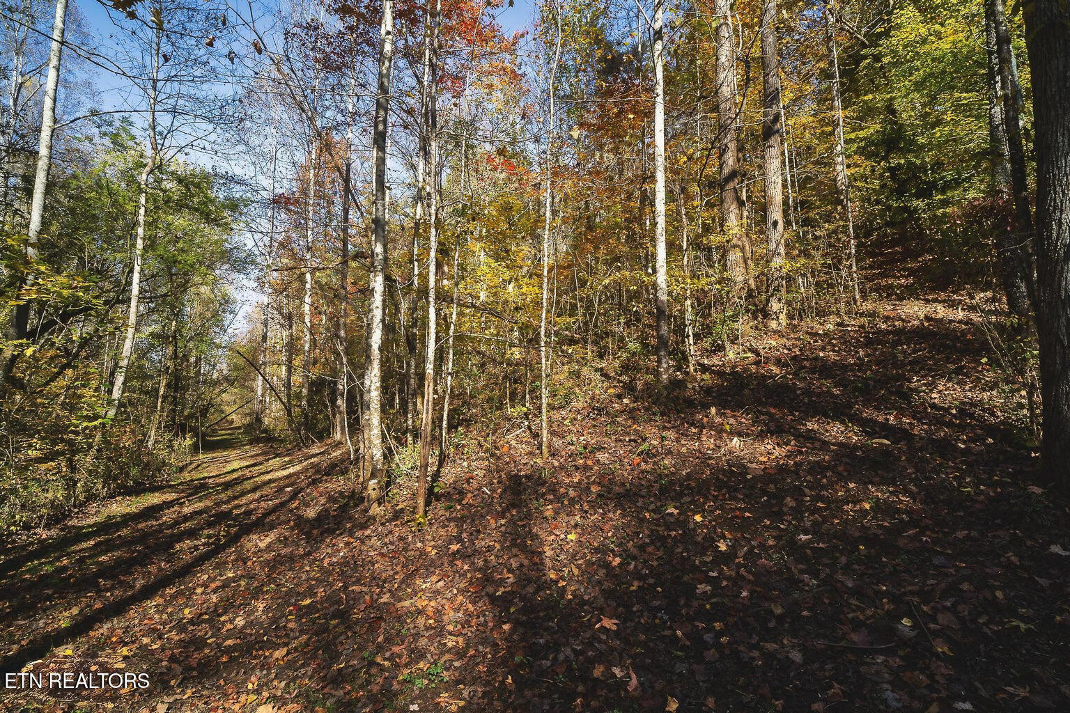 Stanton Road Seymour TN 37865