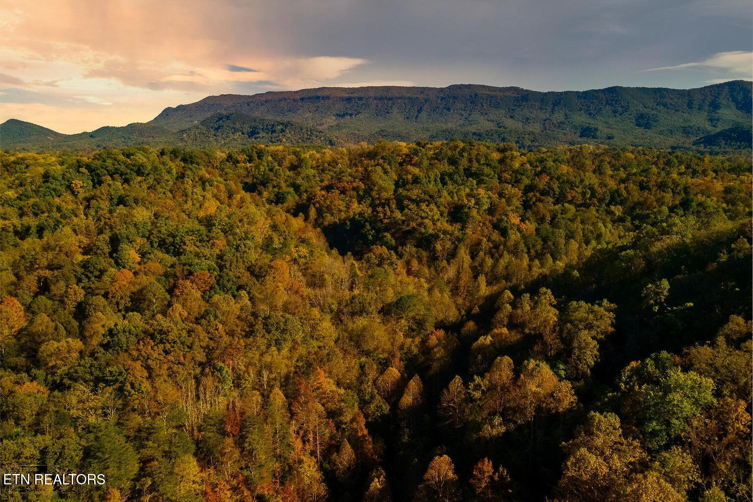 Stanton Road Seymour TN 37865