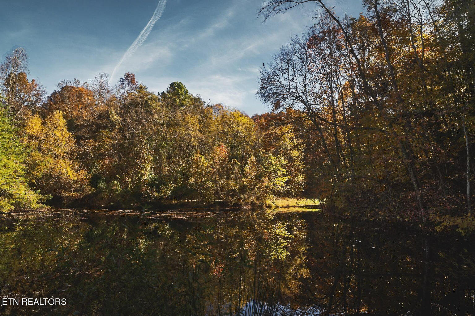 Stanton Road Seymour TN 37865