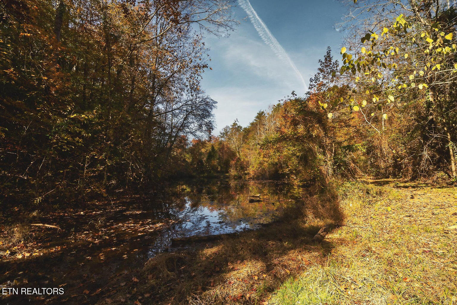 Stanton Road Seymour TN 37865