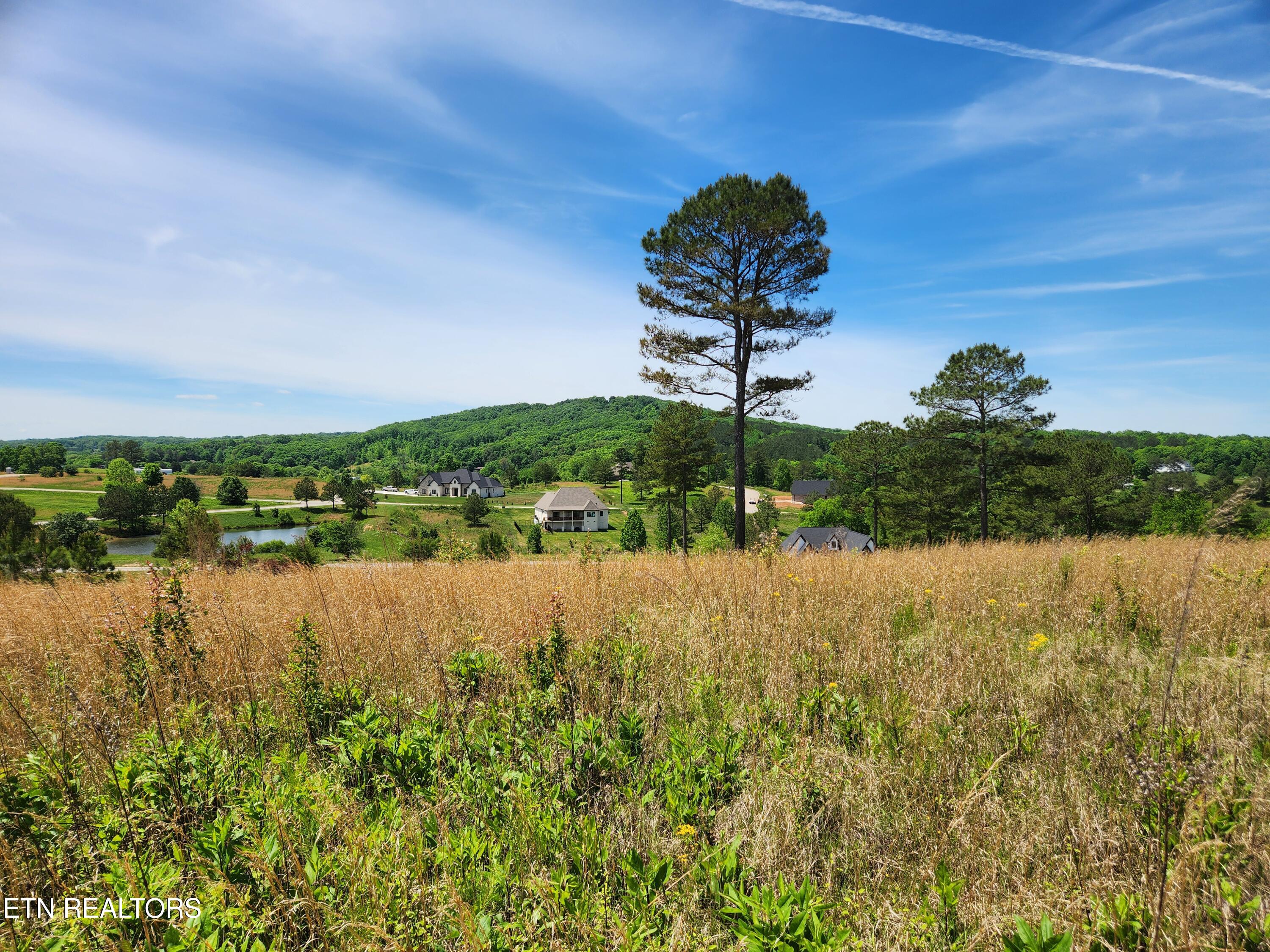 Oak Leaf Lot 71 Drive Loudon TN 37774