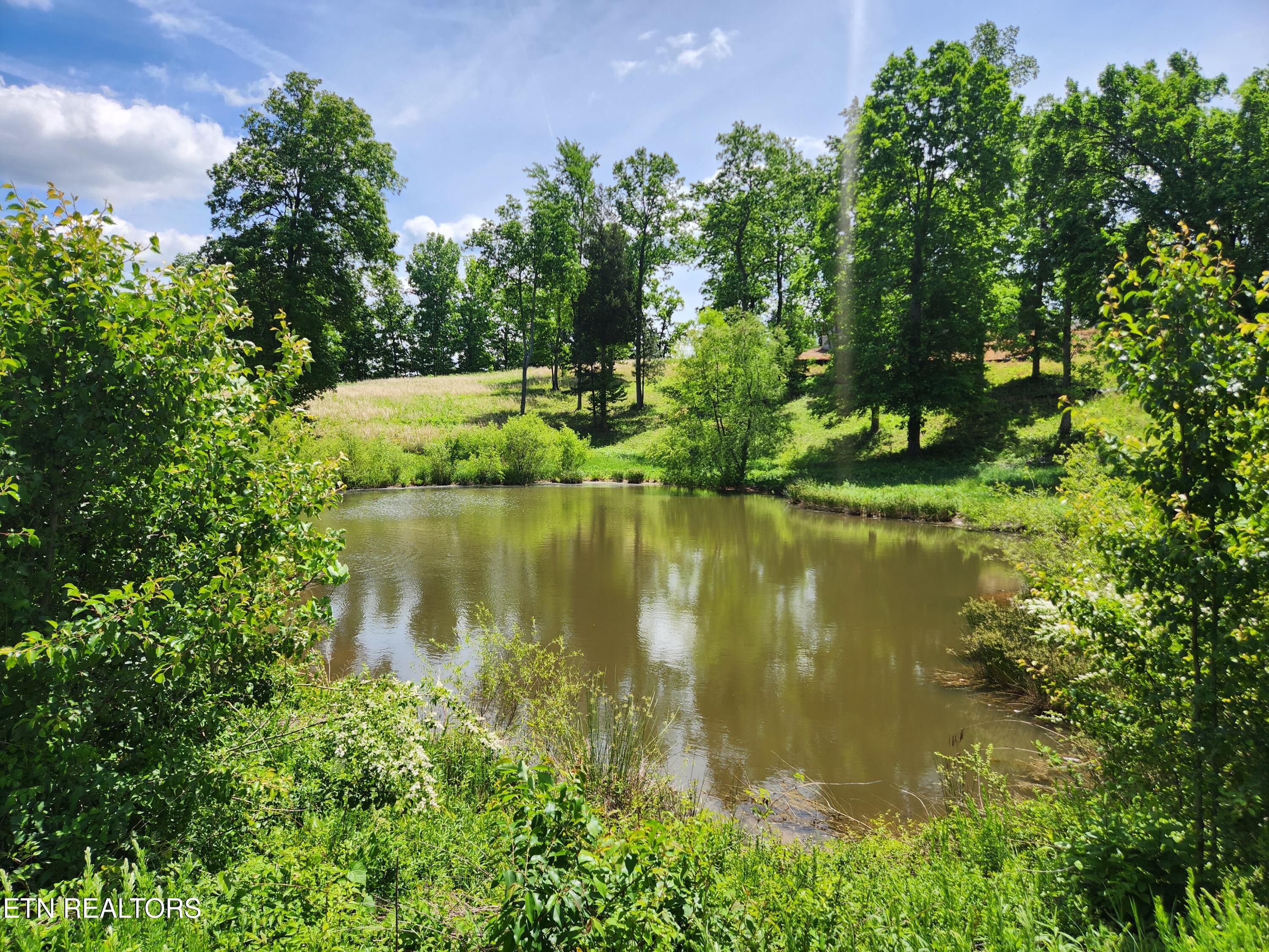 Oak Leaf Lot 71 Drive Loudon TN 37774