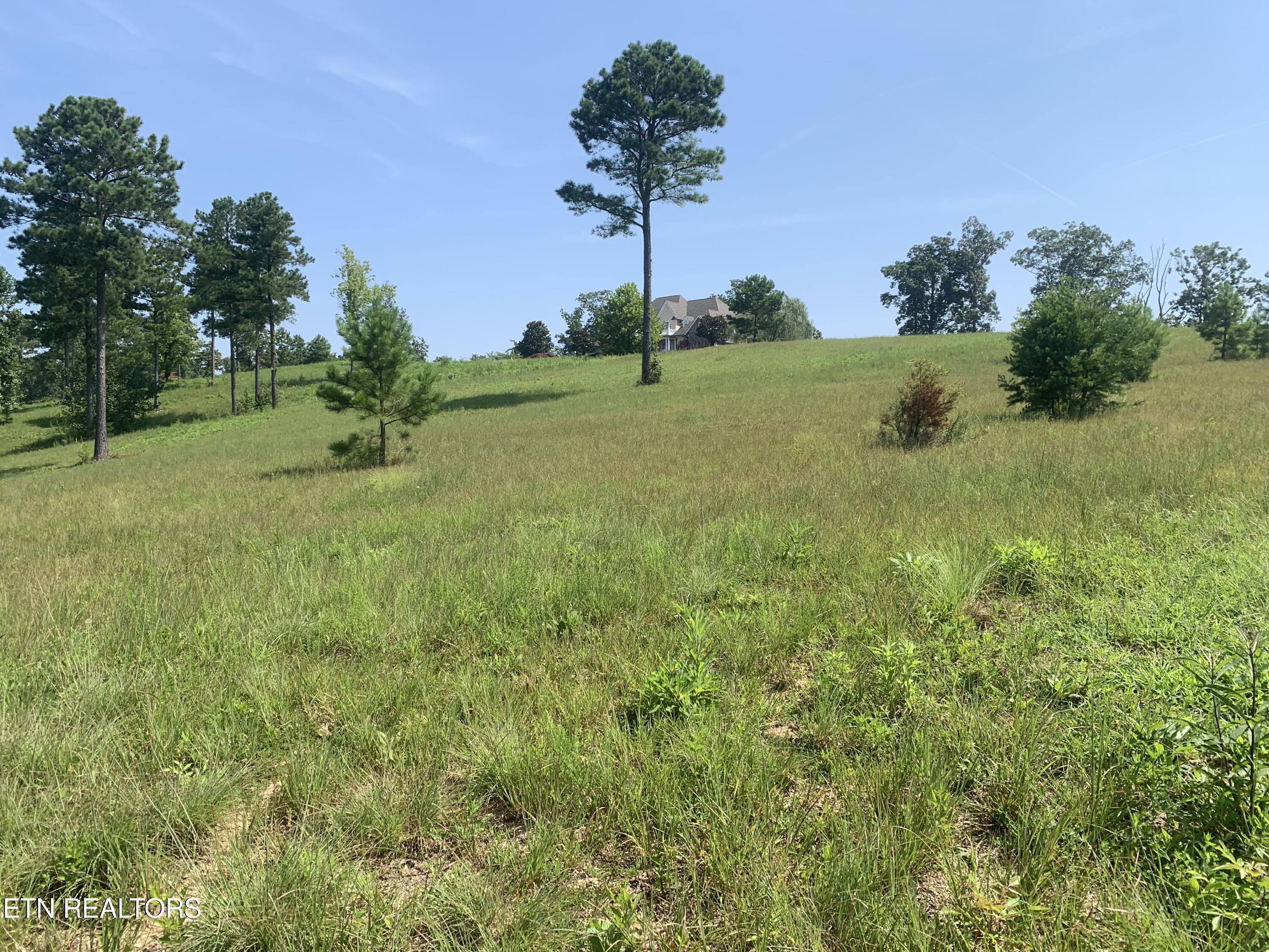 Oak Leaf Lot 71 Drive Loudon TN 37774