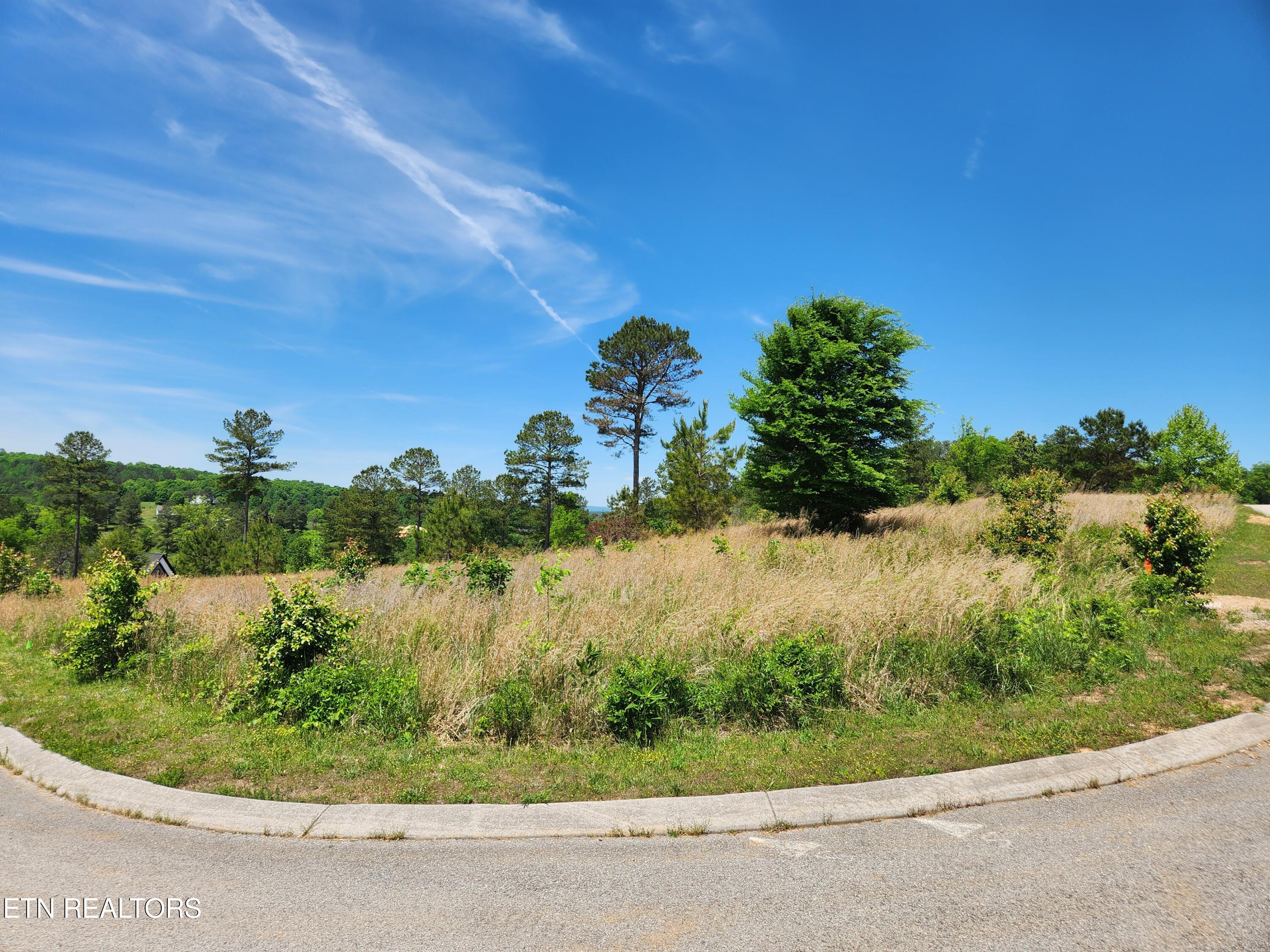 Oak Leaf Lot 71 Drive Loudon TN 37774