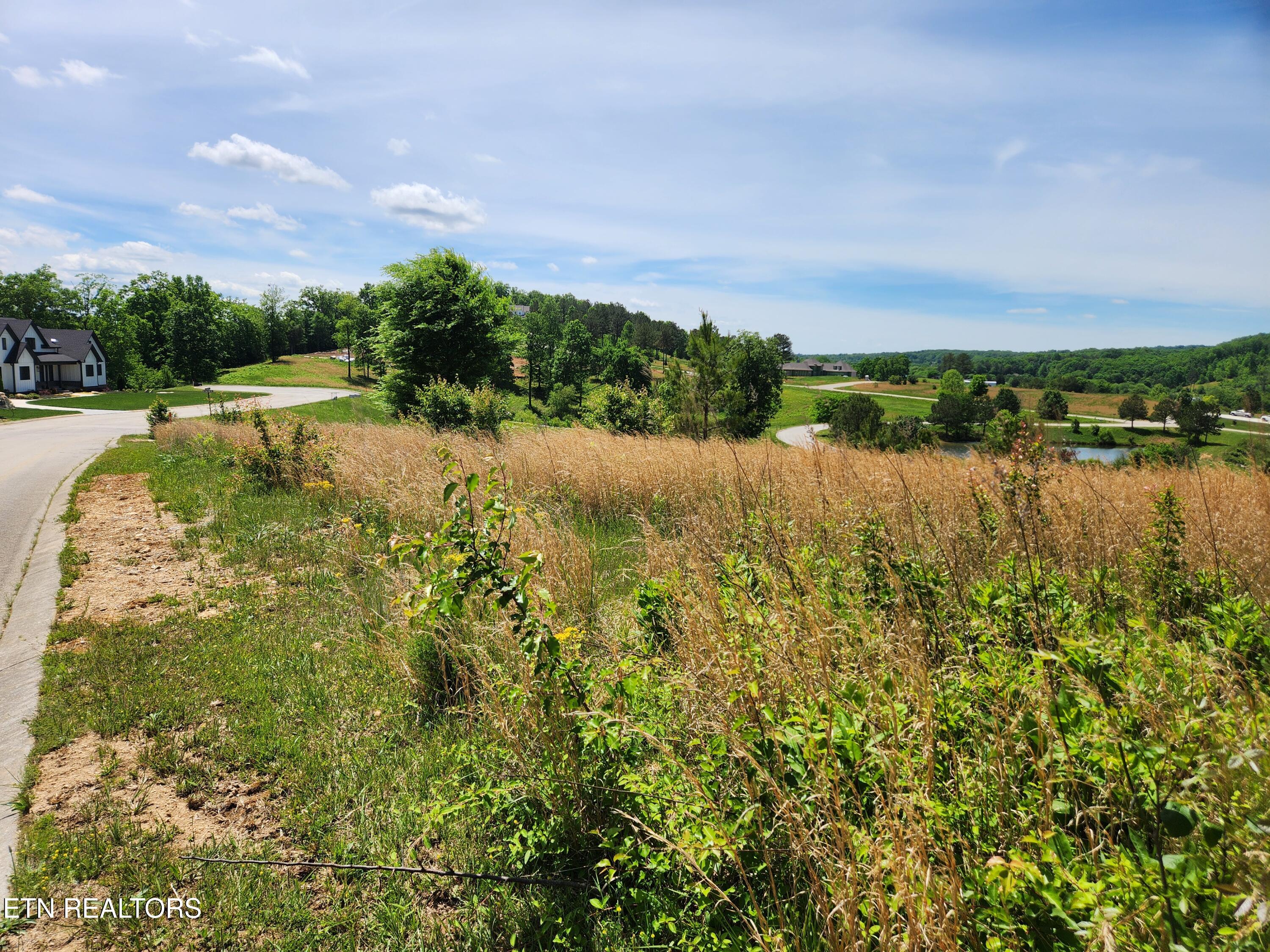 Oak Leaf Lot 71 Drive Loudon TN 37774