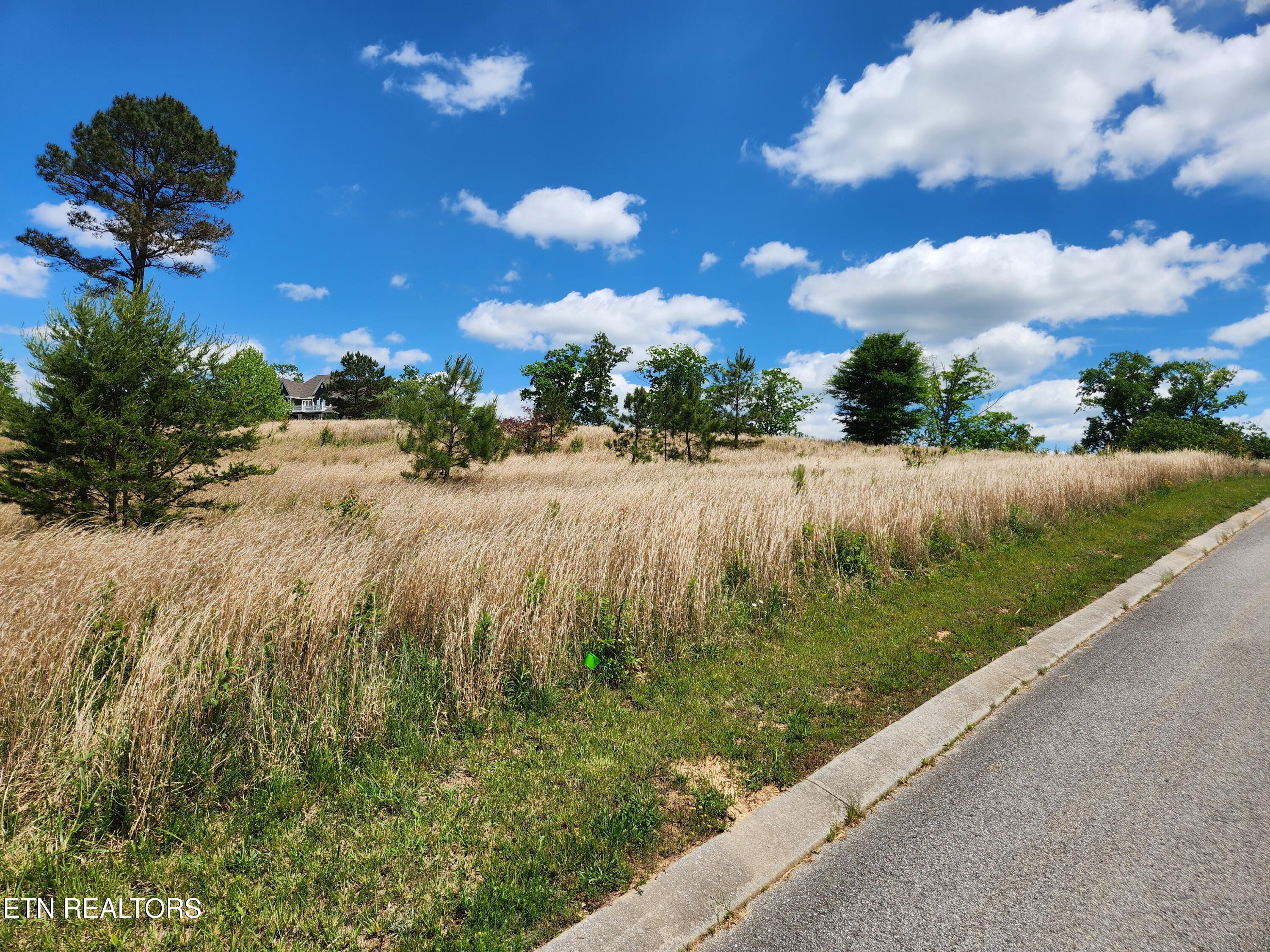 Oak Leaf Lot 71 Drive Loudon TN 37774