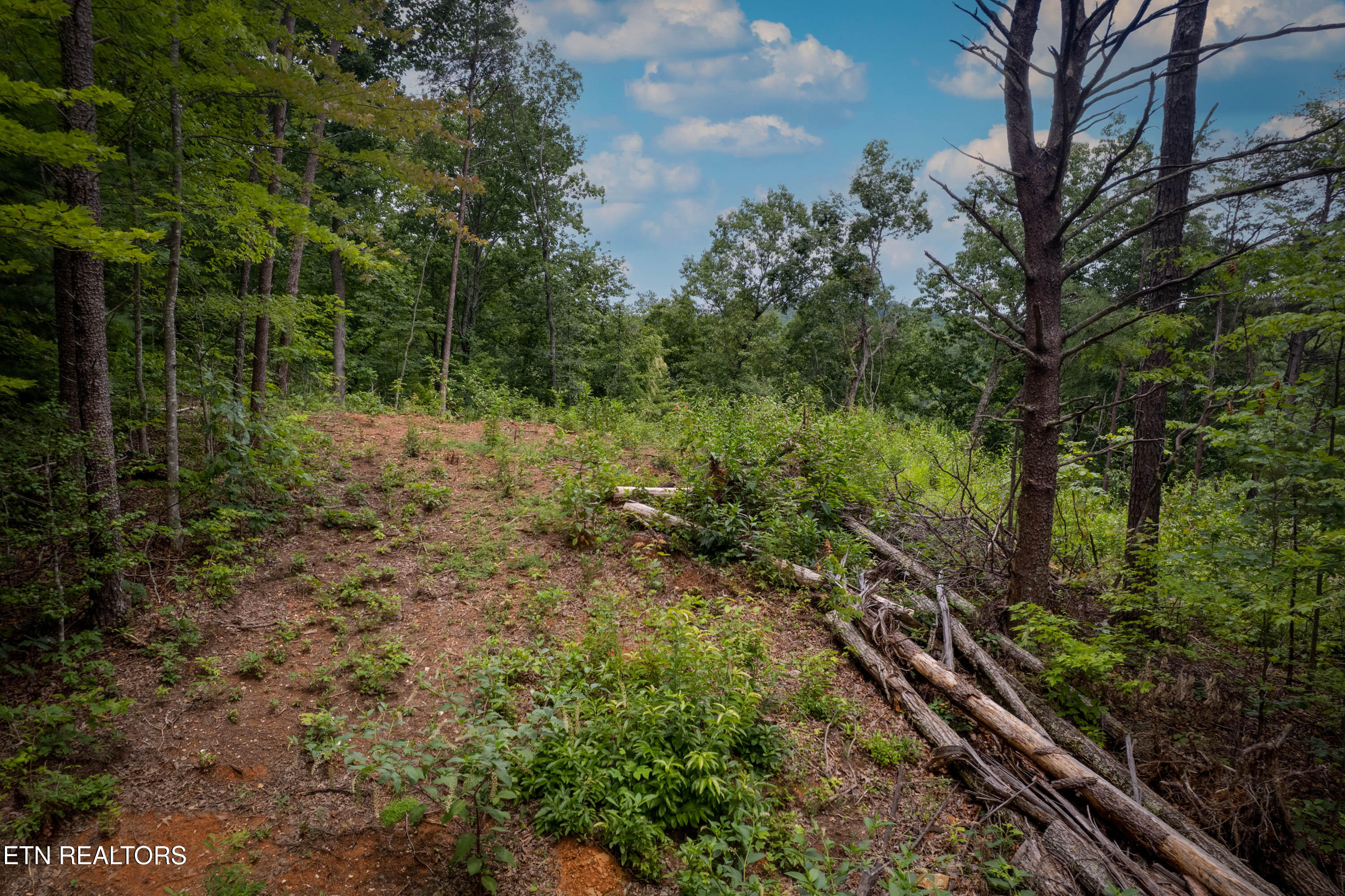 Lot 2 Verless Ogle Road Sevierville TN 37876