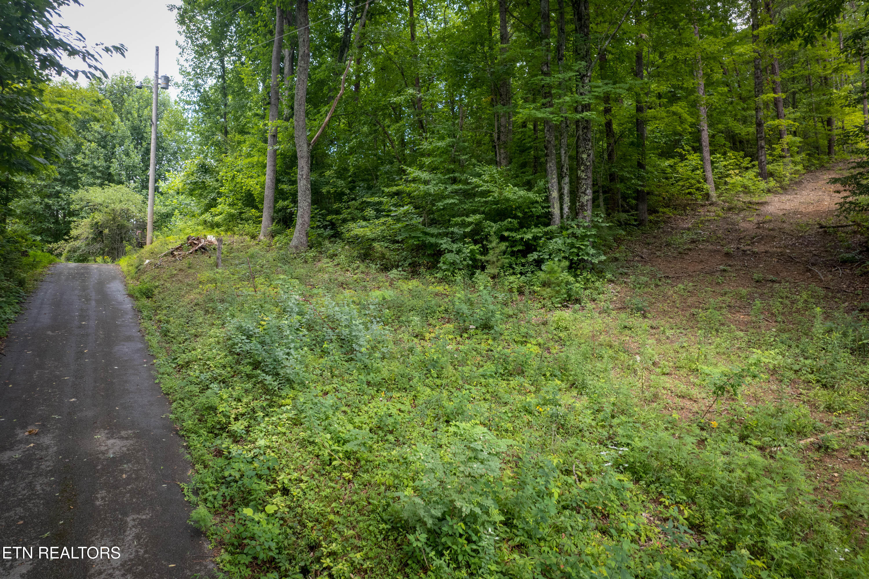 Lot 2 Verless Ogle Road Sevierville TN 37876