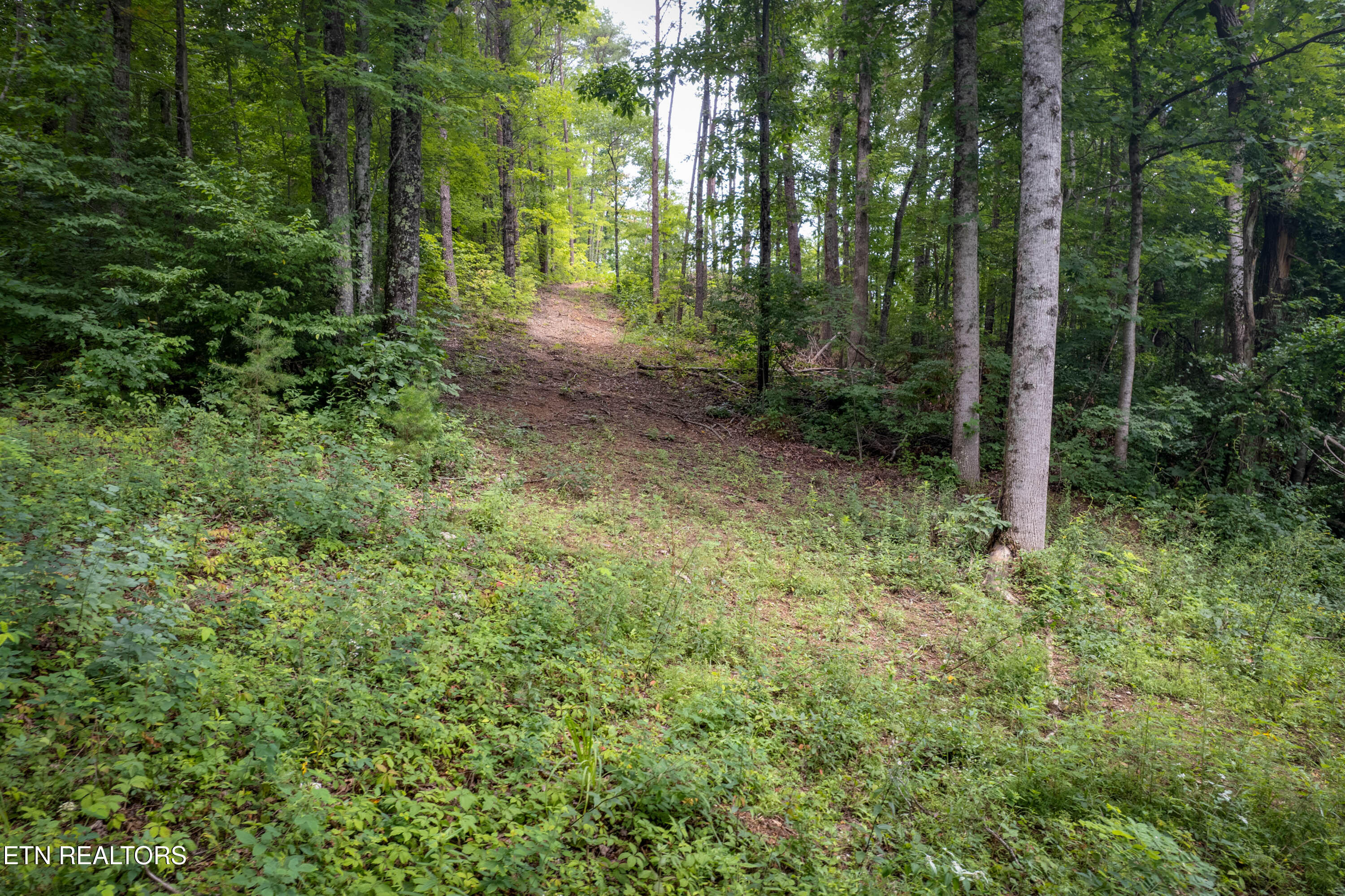 Lot 2 Verless Ogle Road Sevierville TN 37876