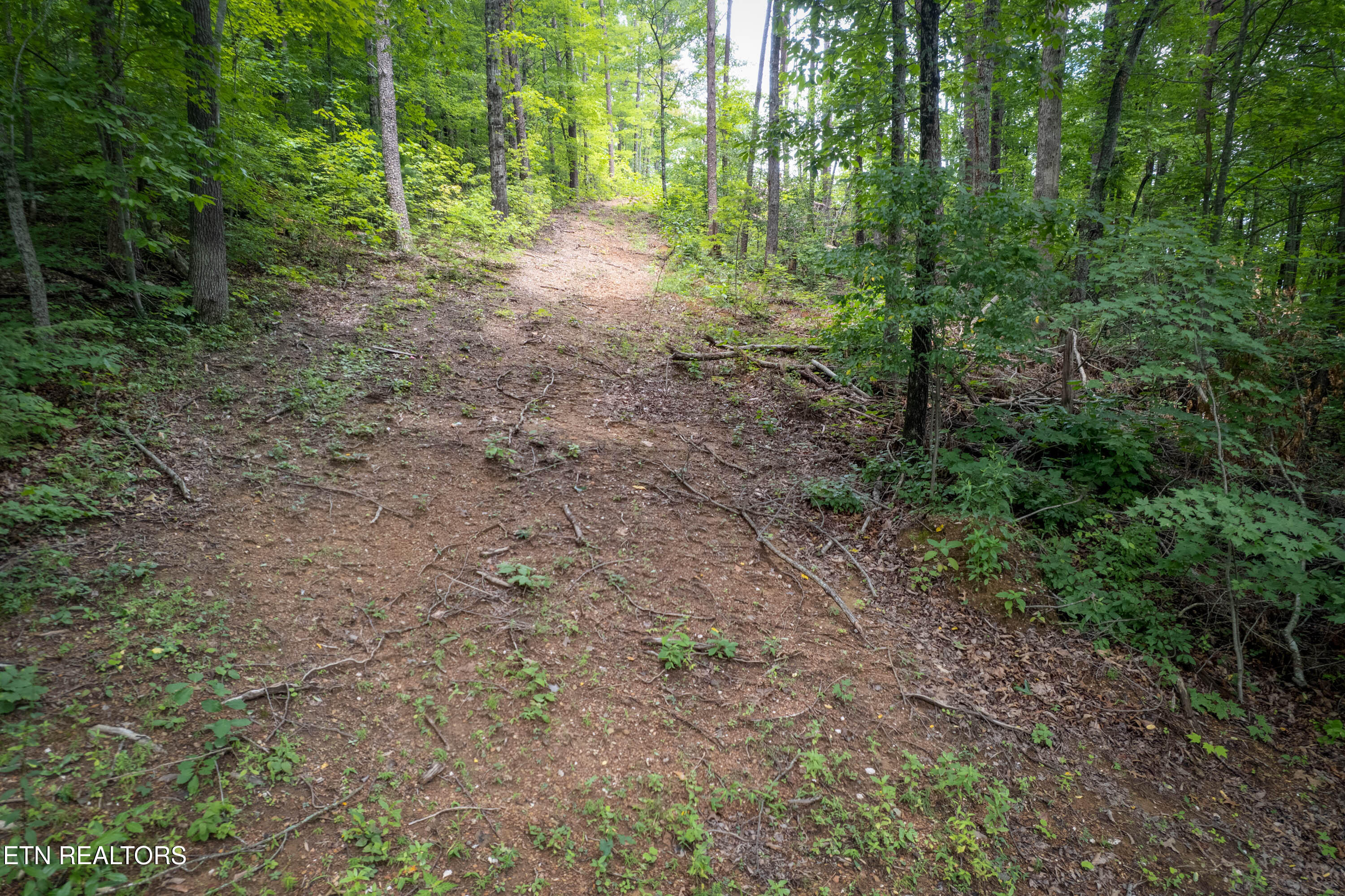 Lot 2 Verless Ogle Road Sevierville TN 37876