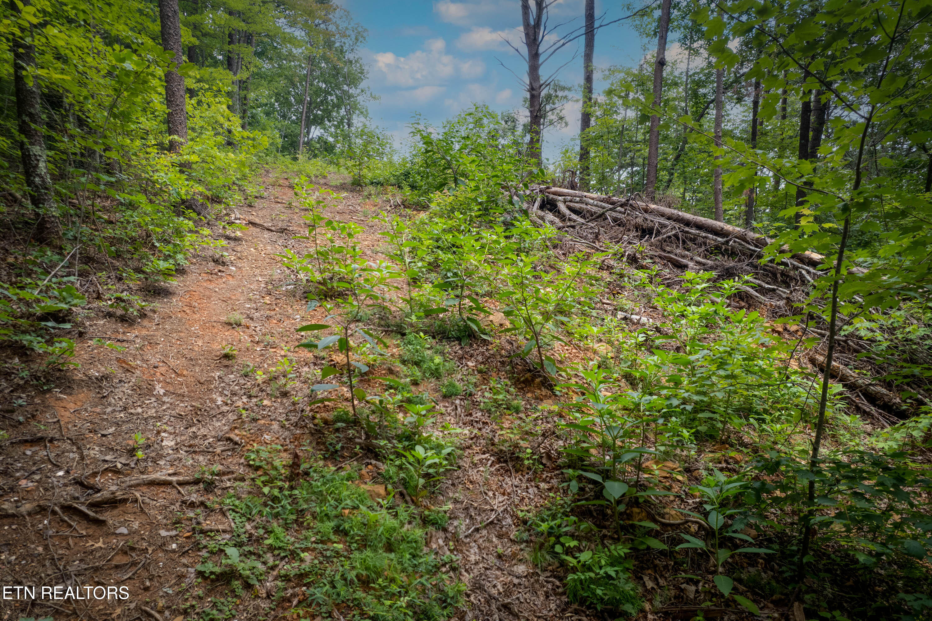 Lot 2 Verless Ogle Road Sevierville TN 37876