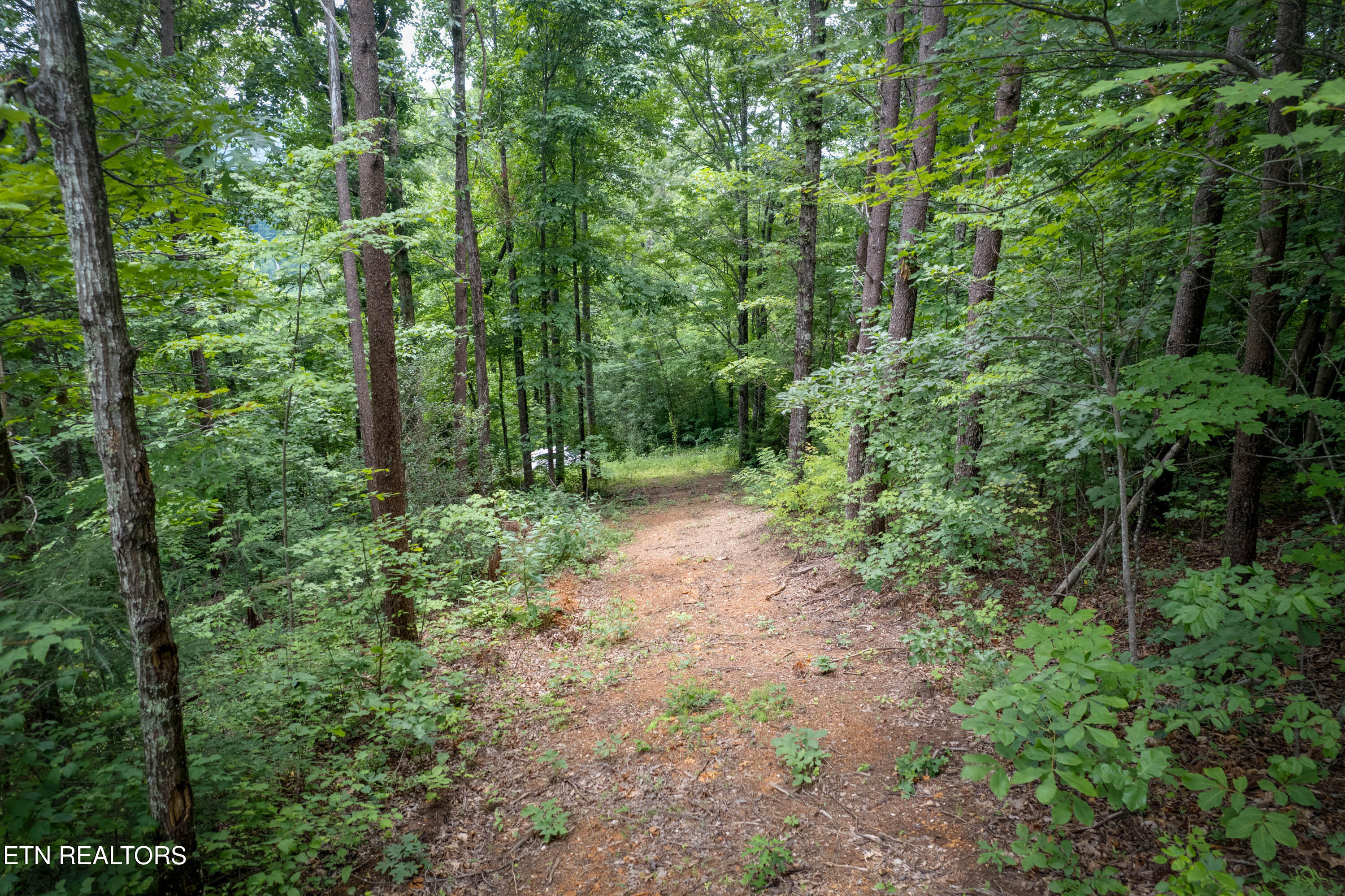 Lot 2 Verless Ogle Road Sevierville TN 37876