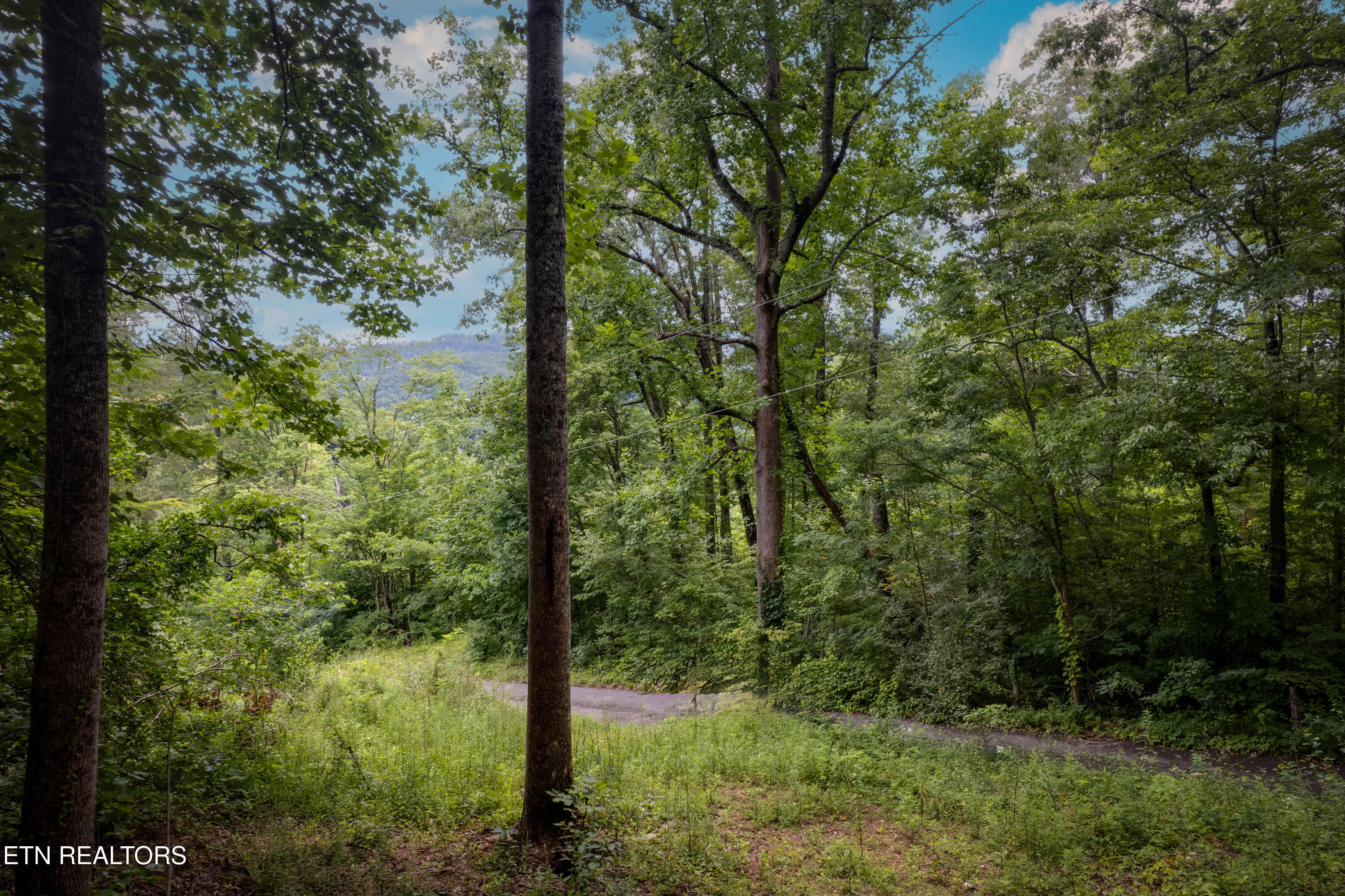 Lot 2 Verless Ogle Road Sevierville TN 37876