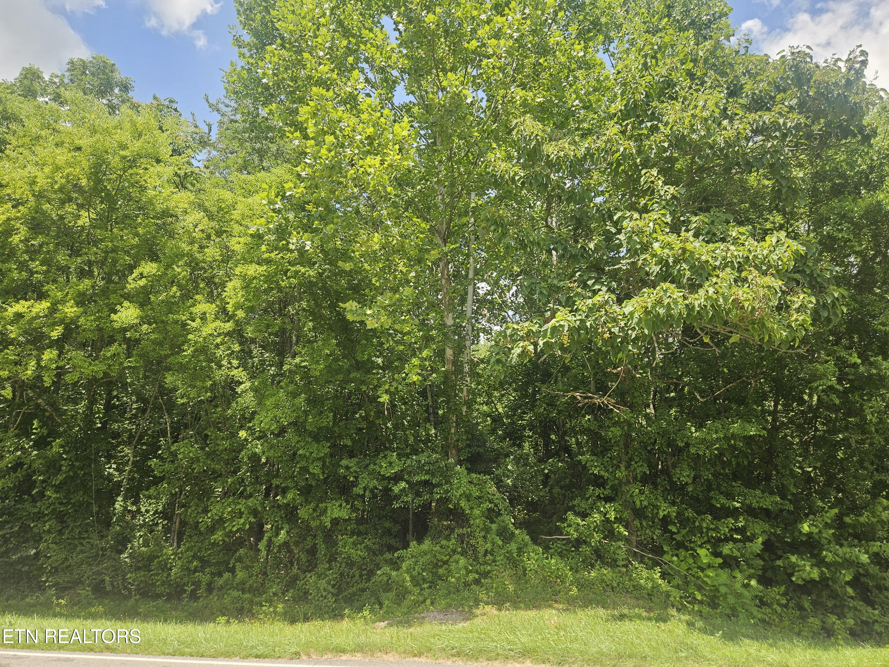 Loudon Road Philadelphia TN 37846