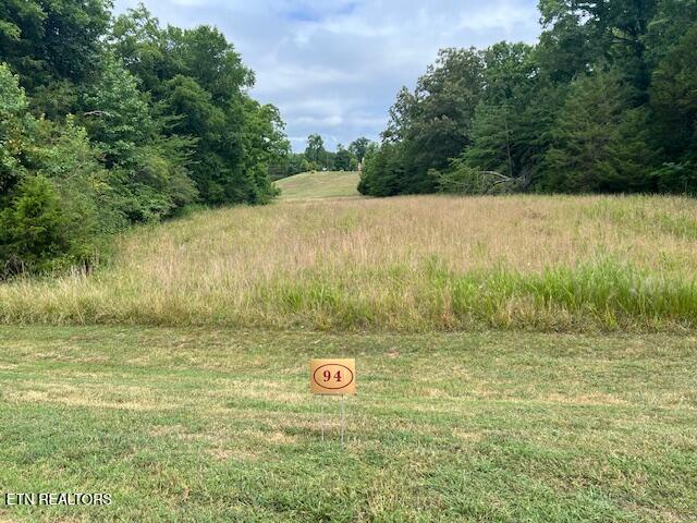 205 Bay Shore Drive Rockwood TN 37854