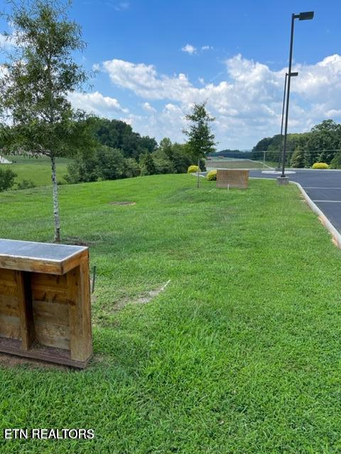 205 Bay Shore Drive Rockwood TN 37854