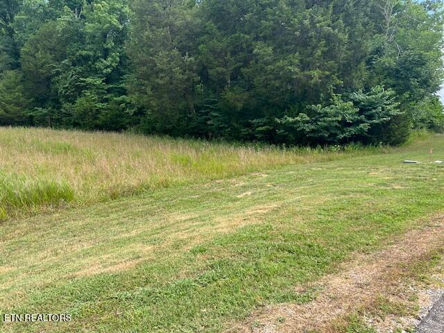 205 Bay Shore Drive Rockwood TN 37854
