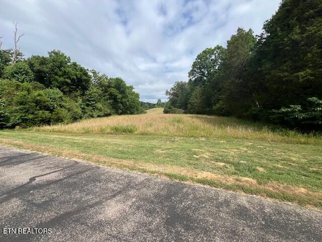 205 Bay Shore Drive Rockwood TN 37854