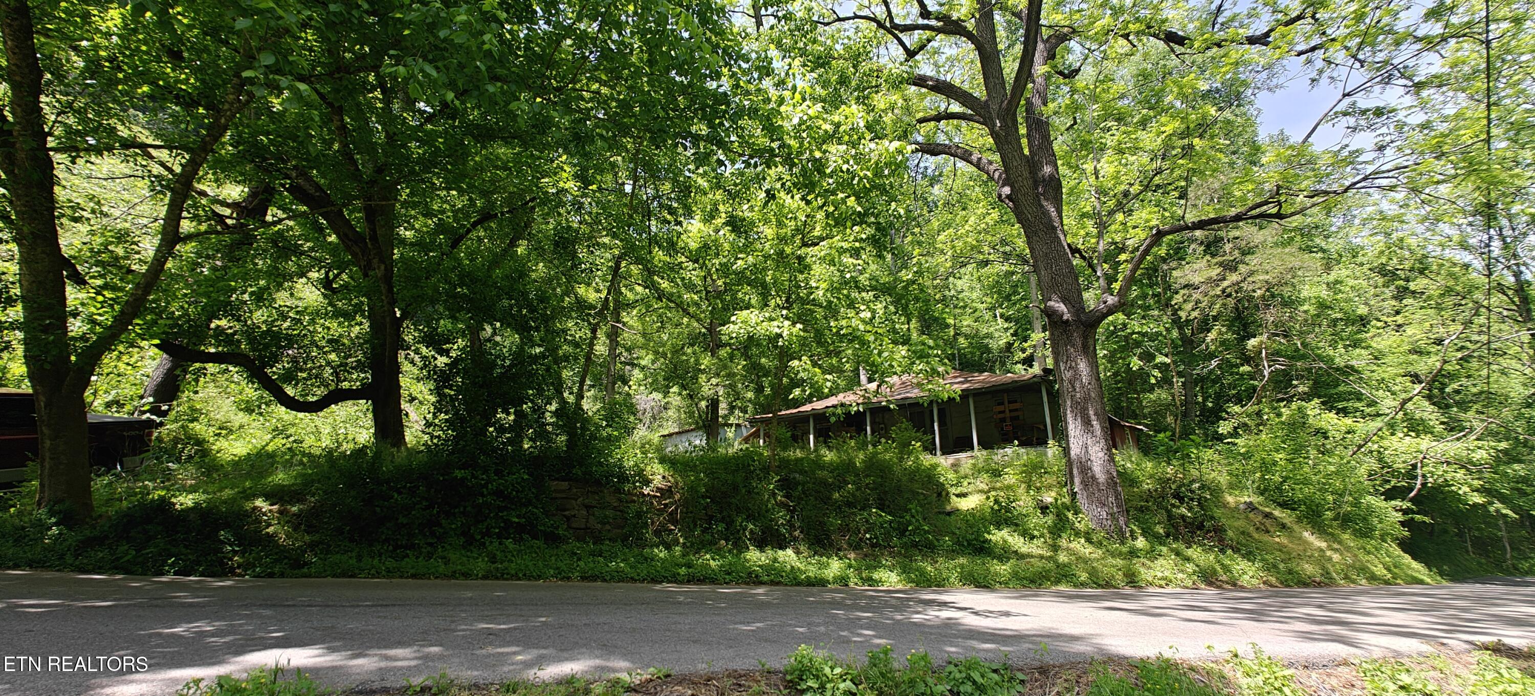 206 Caney Creek Road Pigeon Forge TN 37863