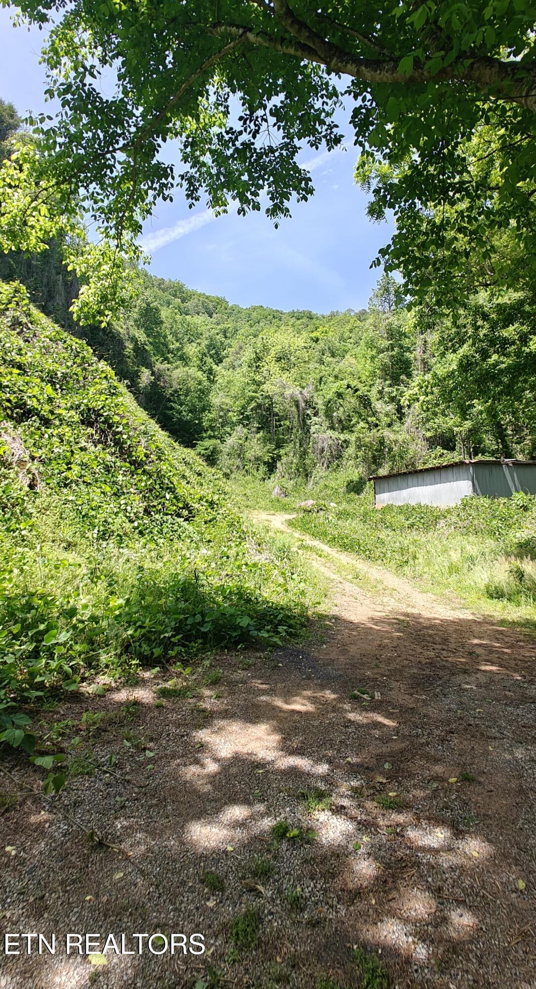 206 Caney Creek Road Pigeon Forge TN 37863