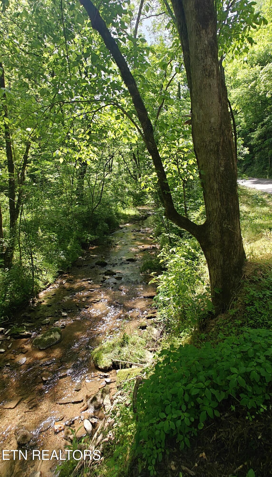 206 Caney Creek Road Pigeon Forge TN 37863