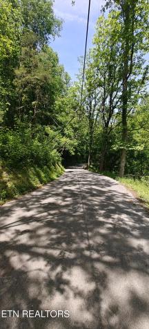 206 Caney Creek Road Pigeon Forge TN 37863