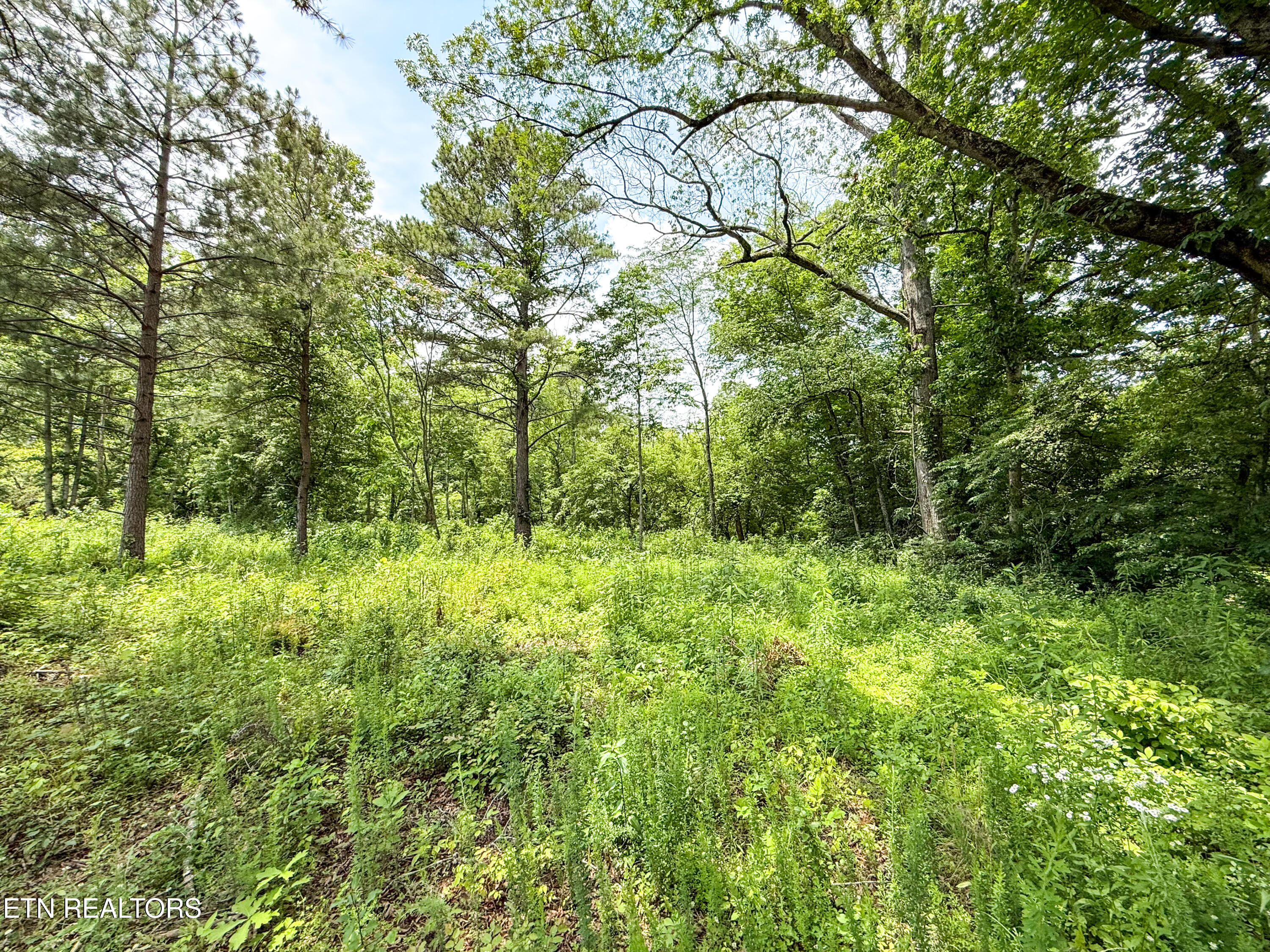 Lot 16 Forest Creek Parkway Oak Ridge TN 37830