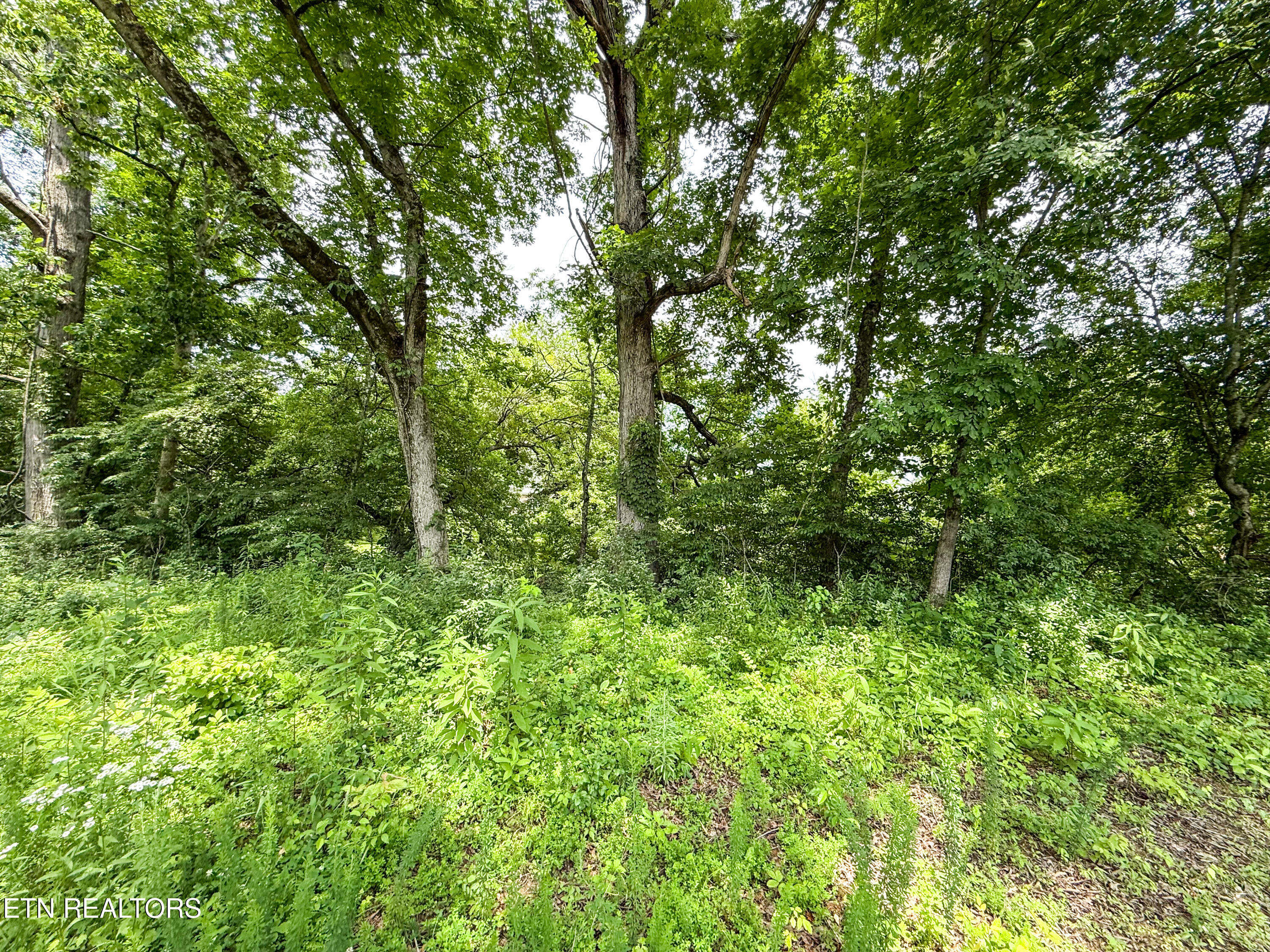 Lot 16 Forest Creek Parkway Oak Ridge TN 37830