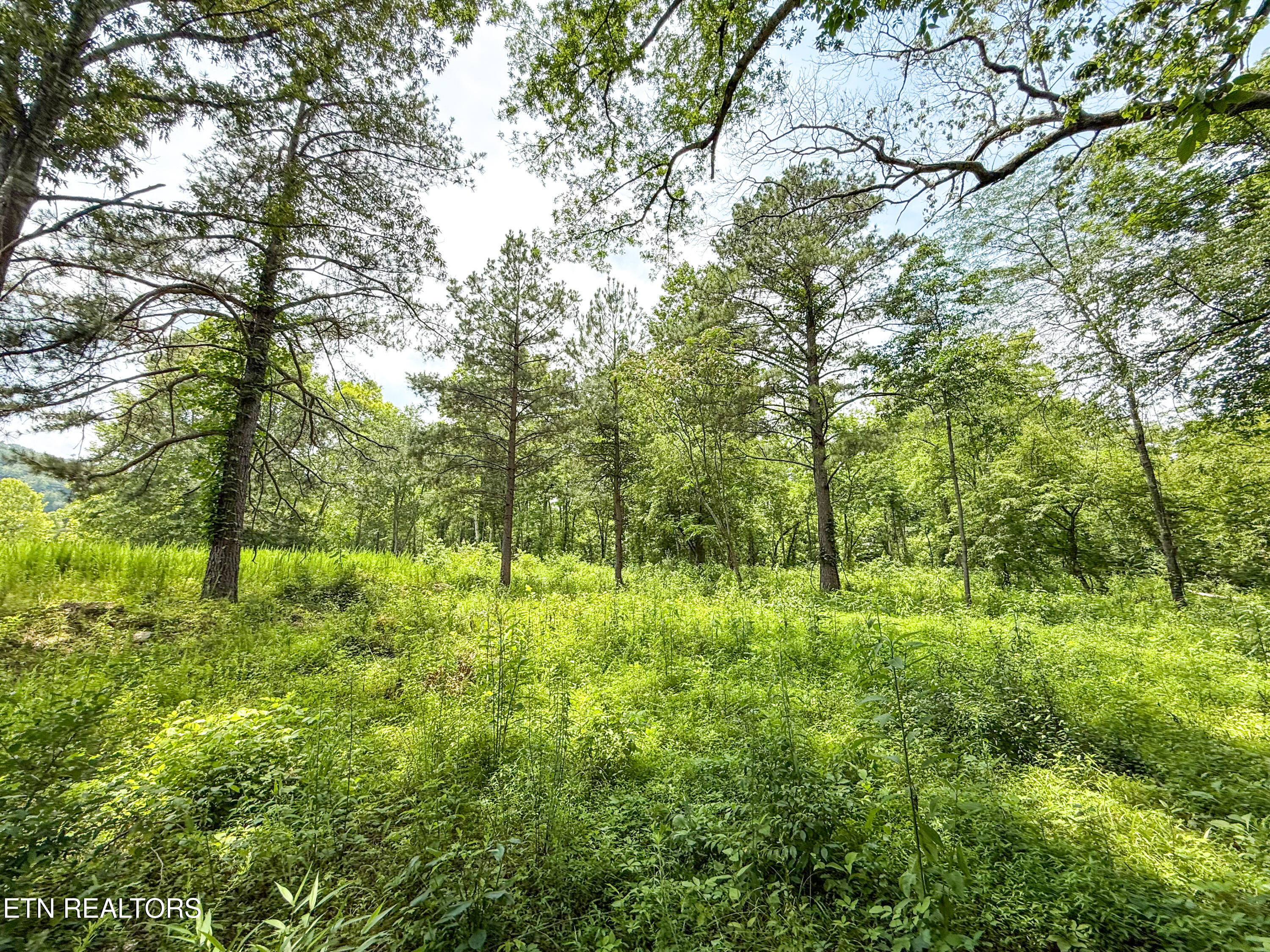 Lot 16 Forest Creek Parkway Oak Ridge TN 37830