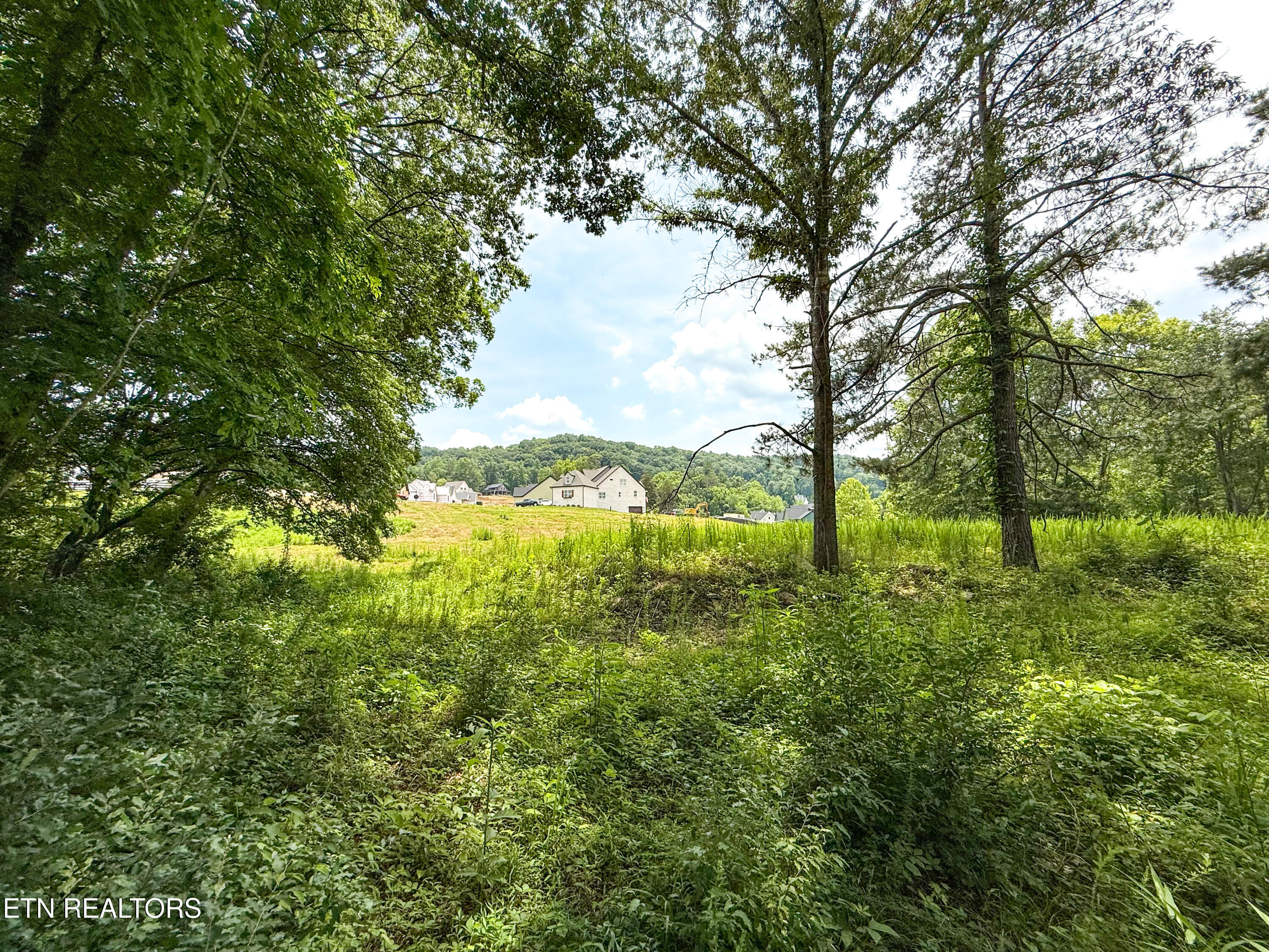 Lot 16 Forest Creek Parkway Oak Ridge TN 37830