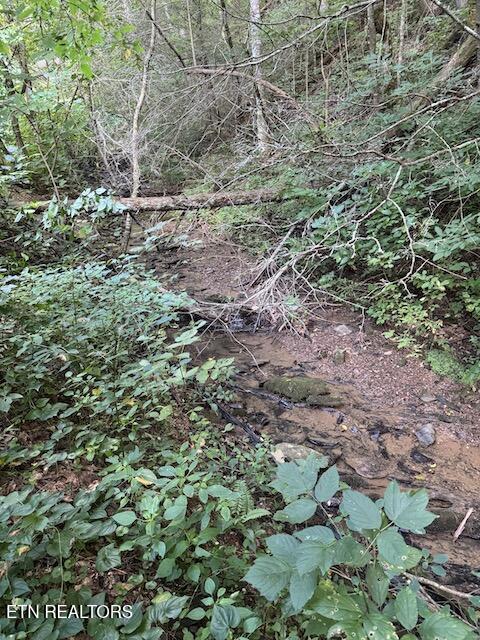 Lot 30 Catons Chapel Road Sevierville TN 37876