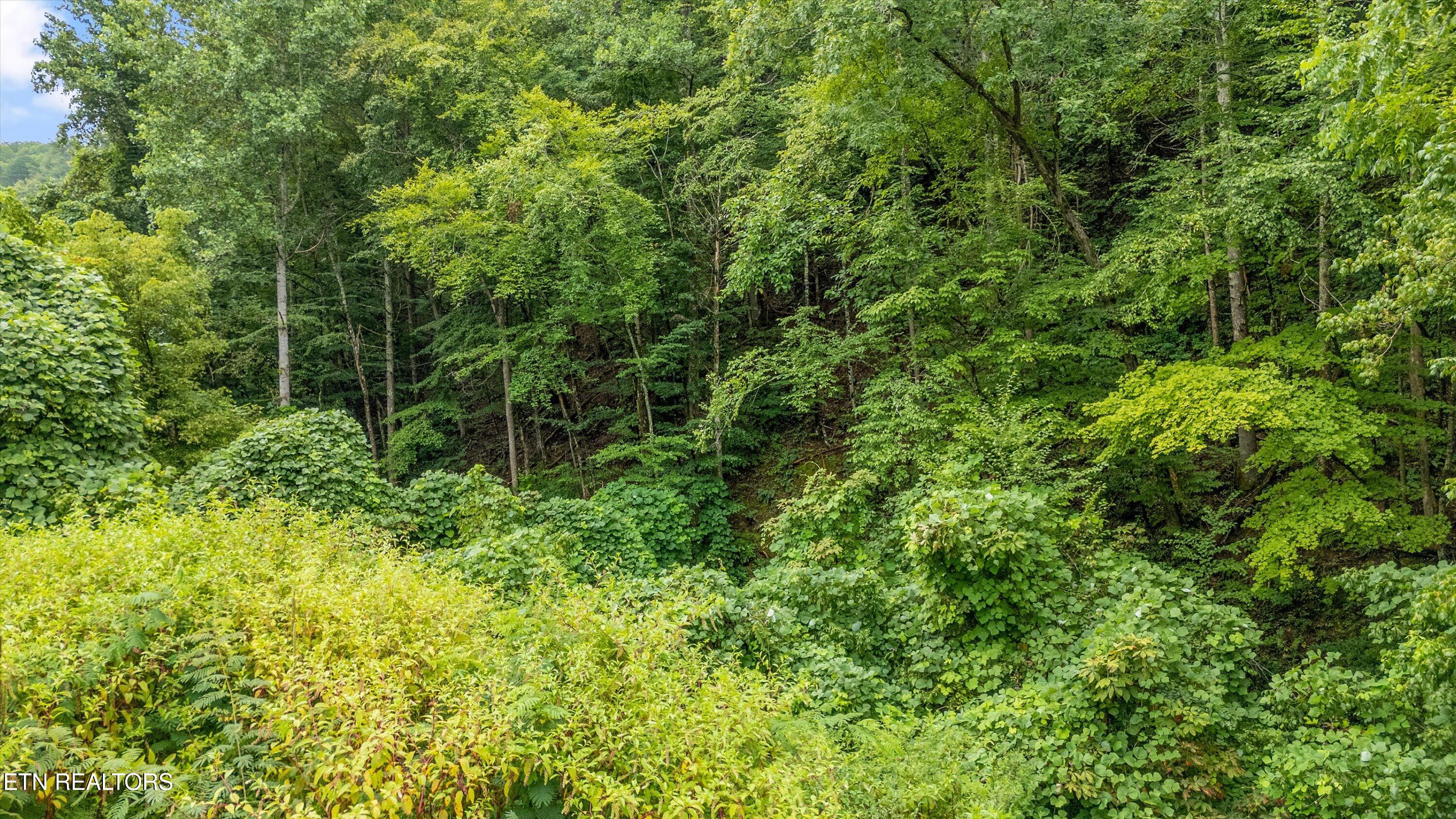 Lot 30 Catons Chapel Road Sevierville TN 37876