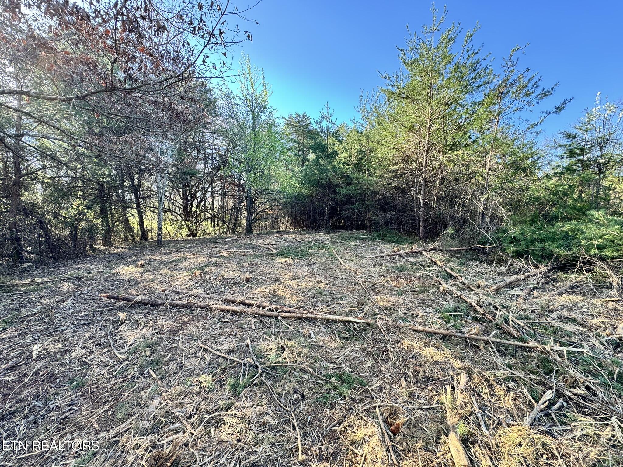 535 Peterson Lane Maryville TN 37803
